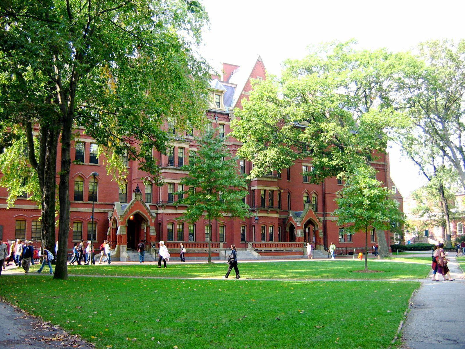 Harvard University, Yard, green lawn, HD Desktop Wallpaper