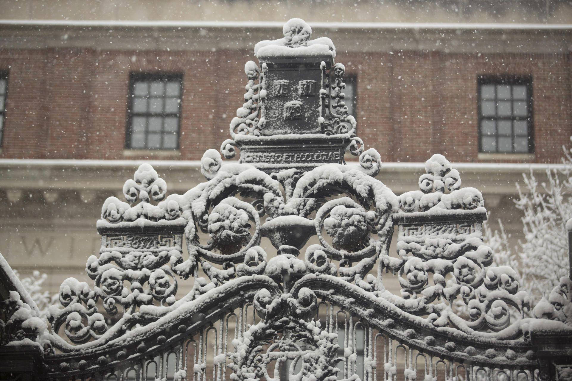 Harvard University, ornate iron gate, intricate scrollwork, Full HD Desktop Wallpaper