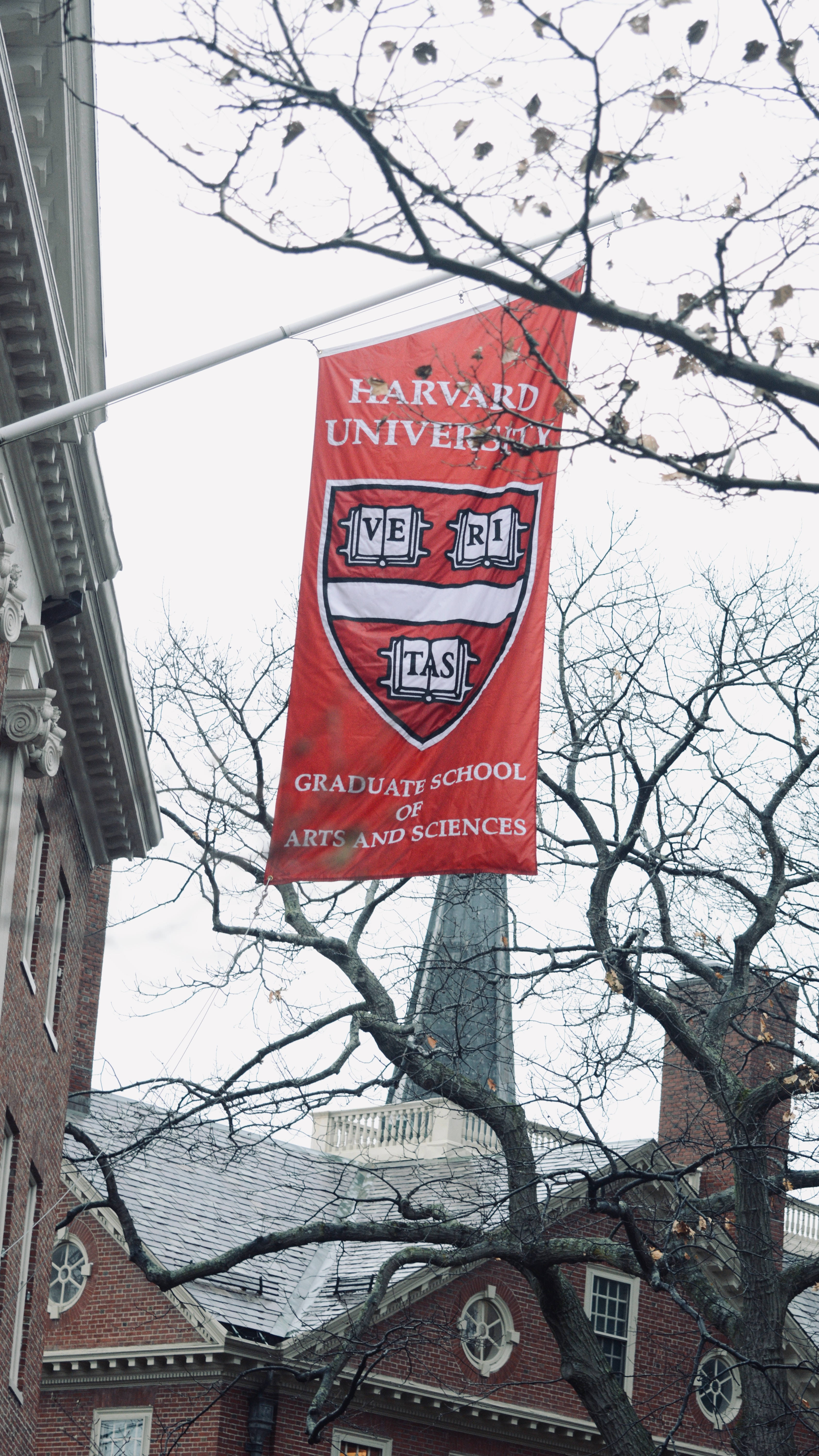 Harvard University, red banner, winter trees, 5K Phone Wallpaper