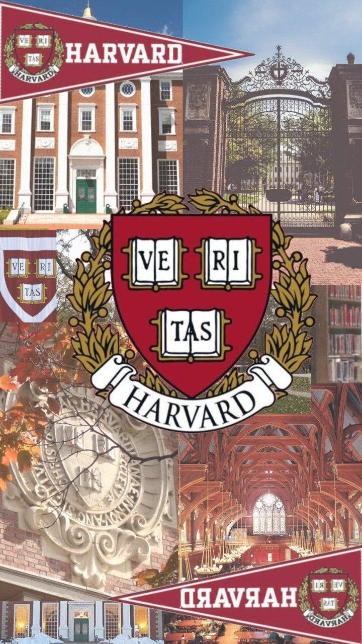 Harvard University, red brick buildings, ornate gates, HD Phone Wallpaper