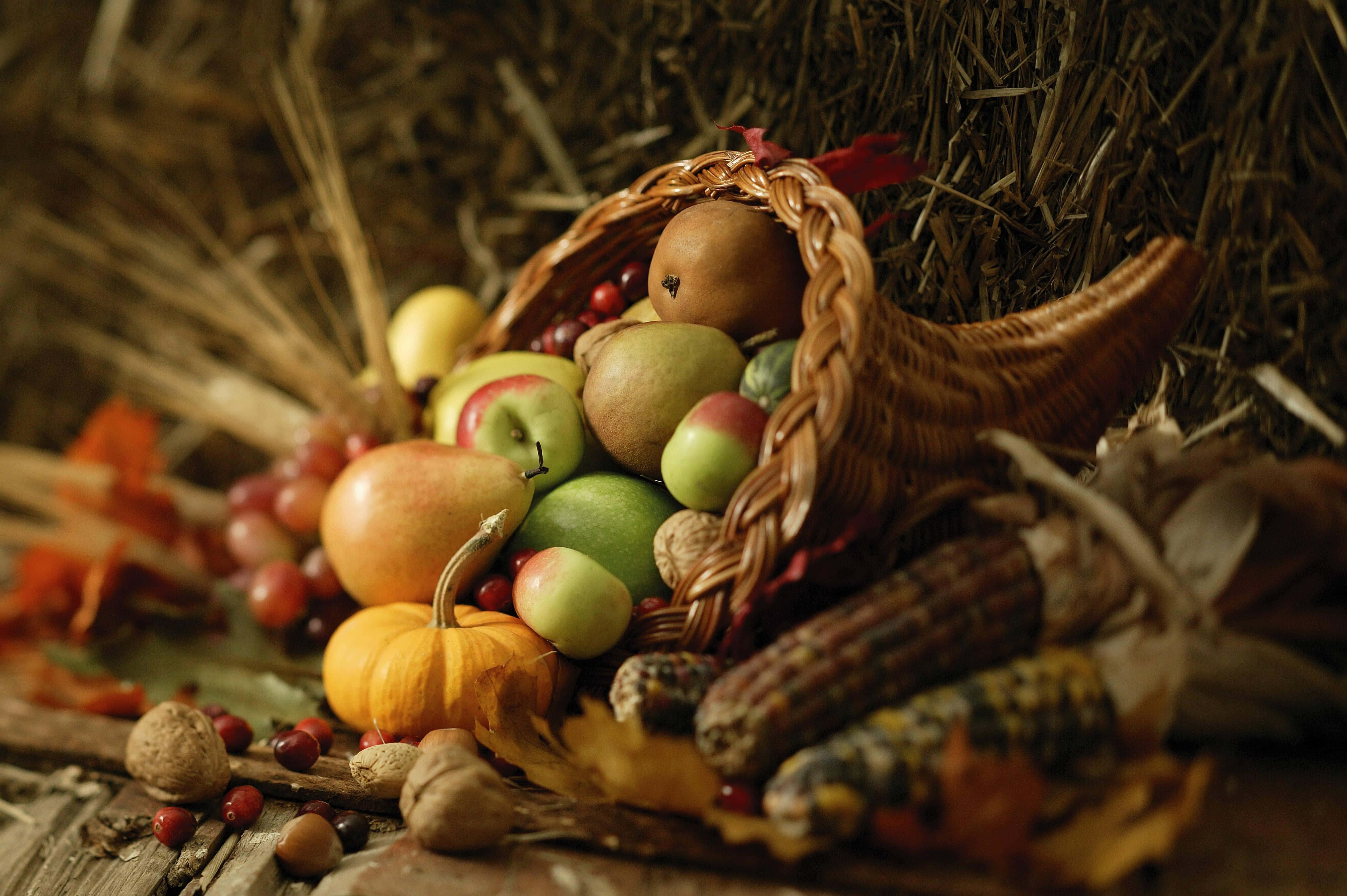 Harvest Time, cornucopia, apples, 5K Desktop Wallpaper
