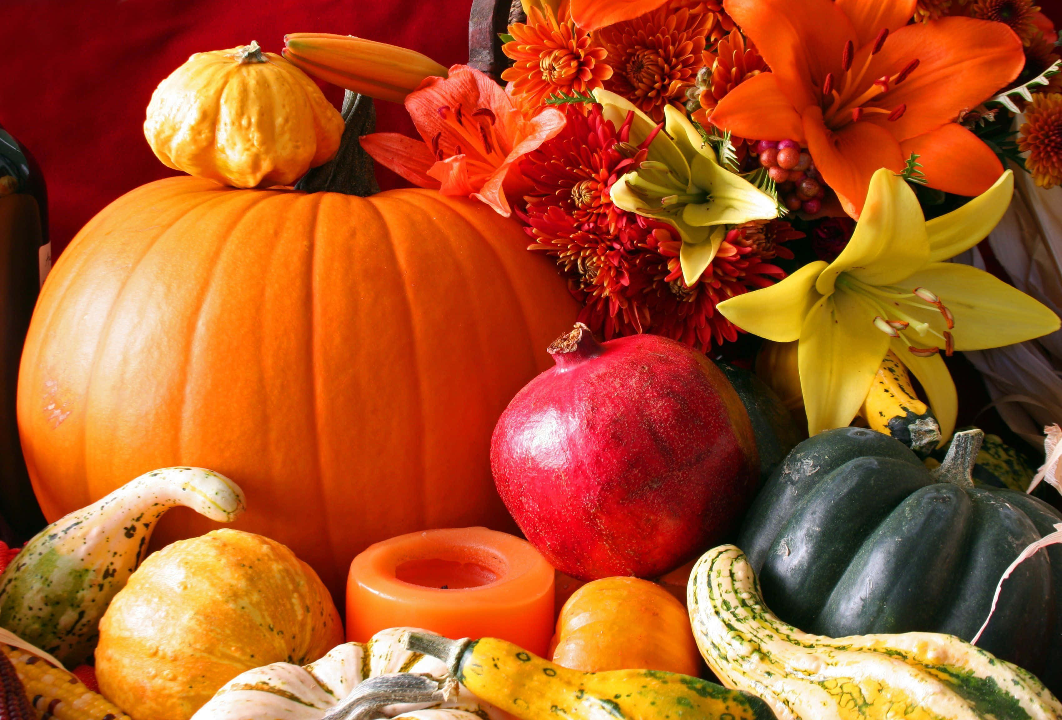 Harvest Time, pumpkins, gourds, 2K Desktop Wallpaper