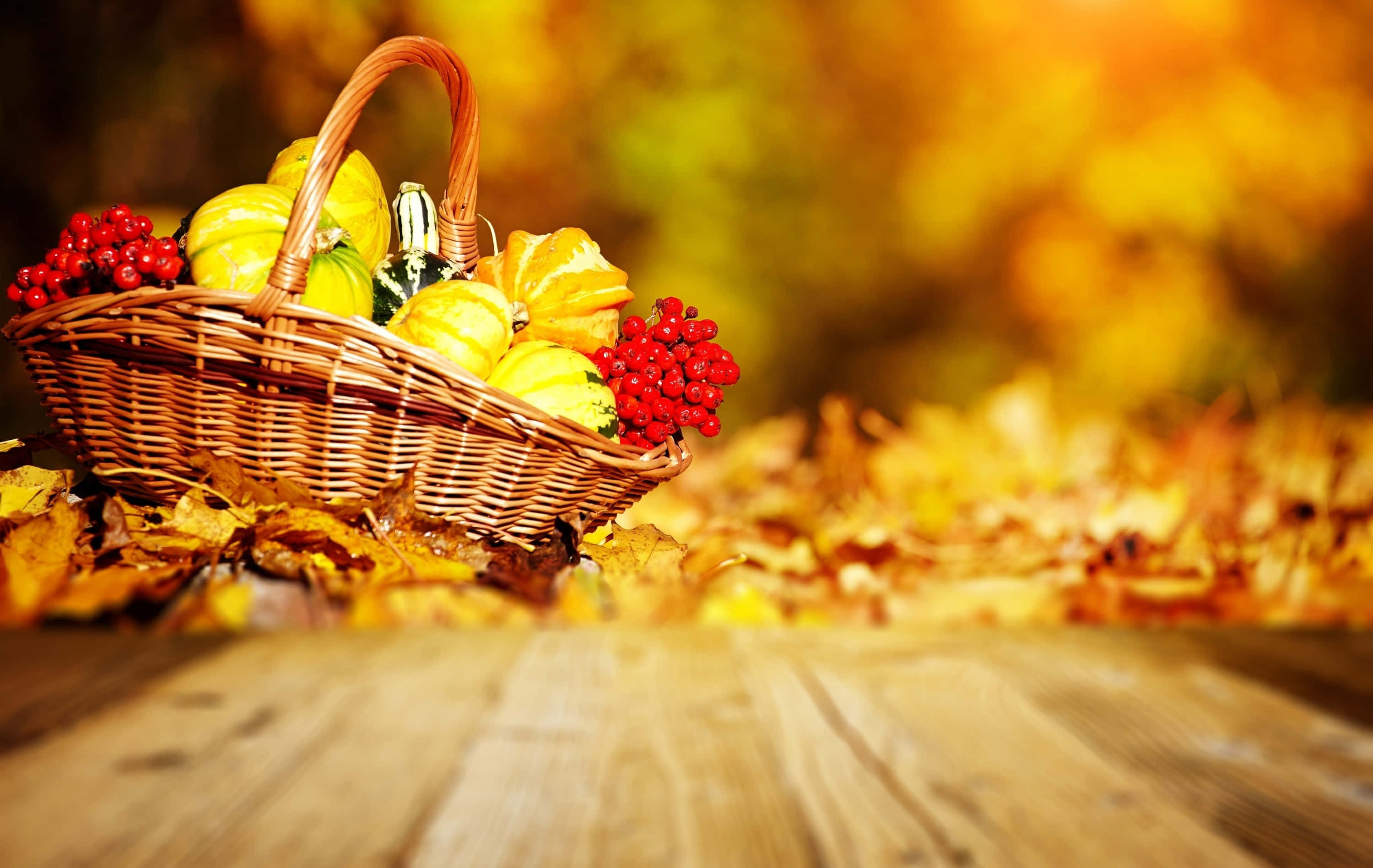 Harvest Time, pumpkins, red berries, 2K Desktop Wallpaper