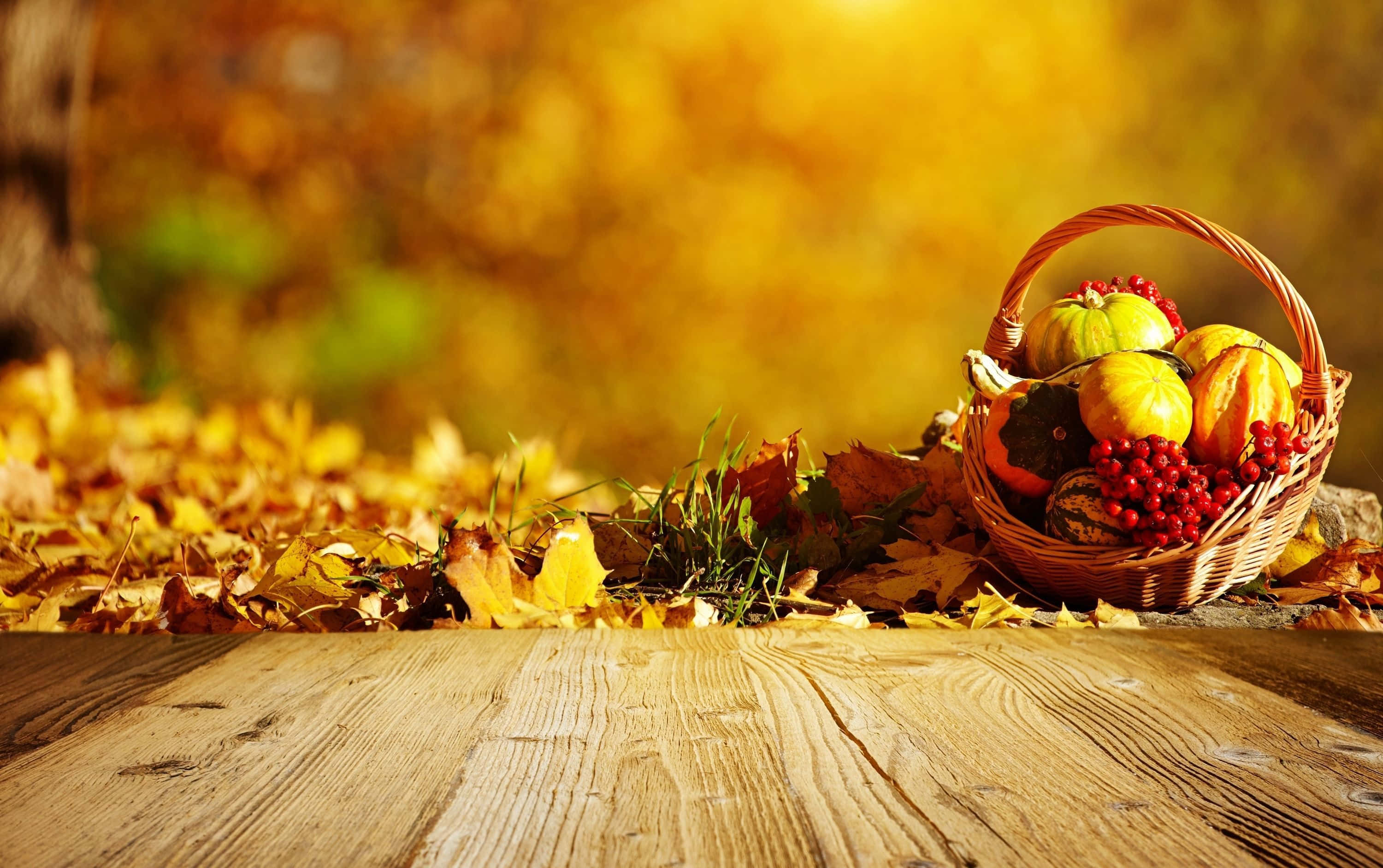 Harvest Time, pumpkins, red berries, 2K Desktop Wallpaper