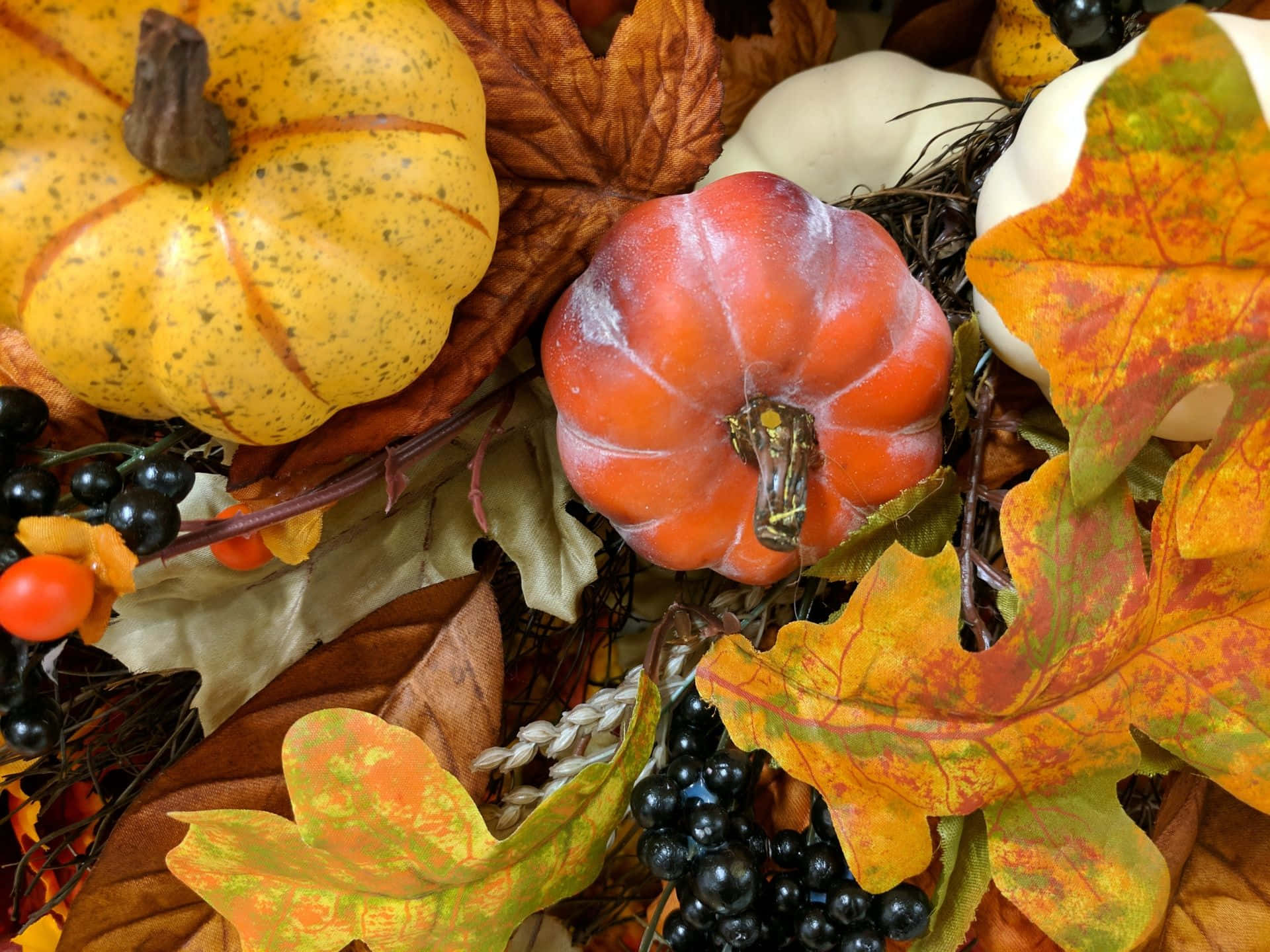 Harvest Time, autumn arrangement, speckled pumpkins, Full HD Desktop Wallpaper