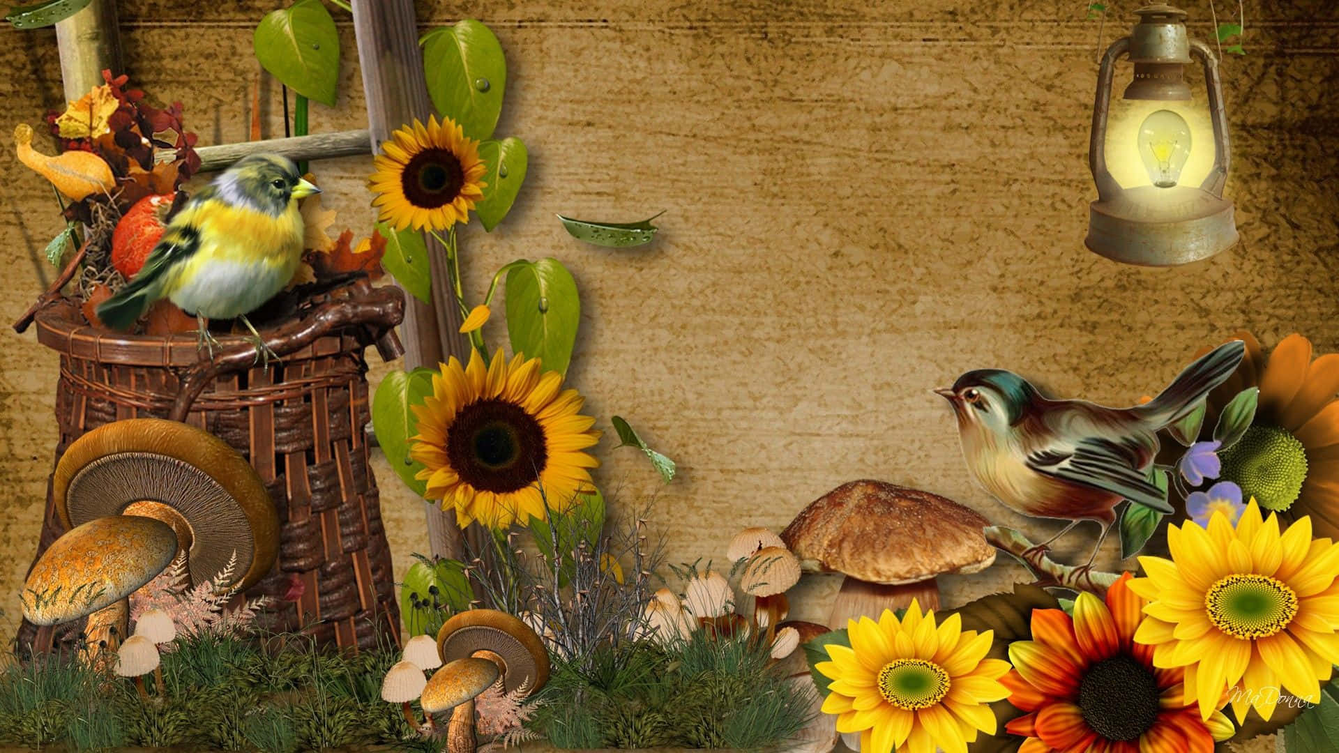Harvest Time, sunflowers, mushrooms, Full HD Desktop Wallpaper