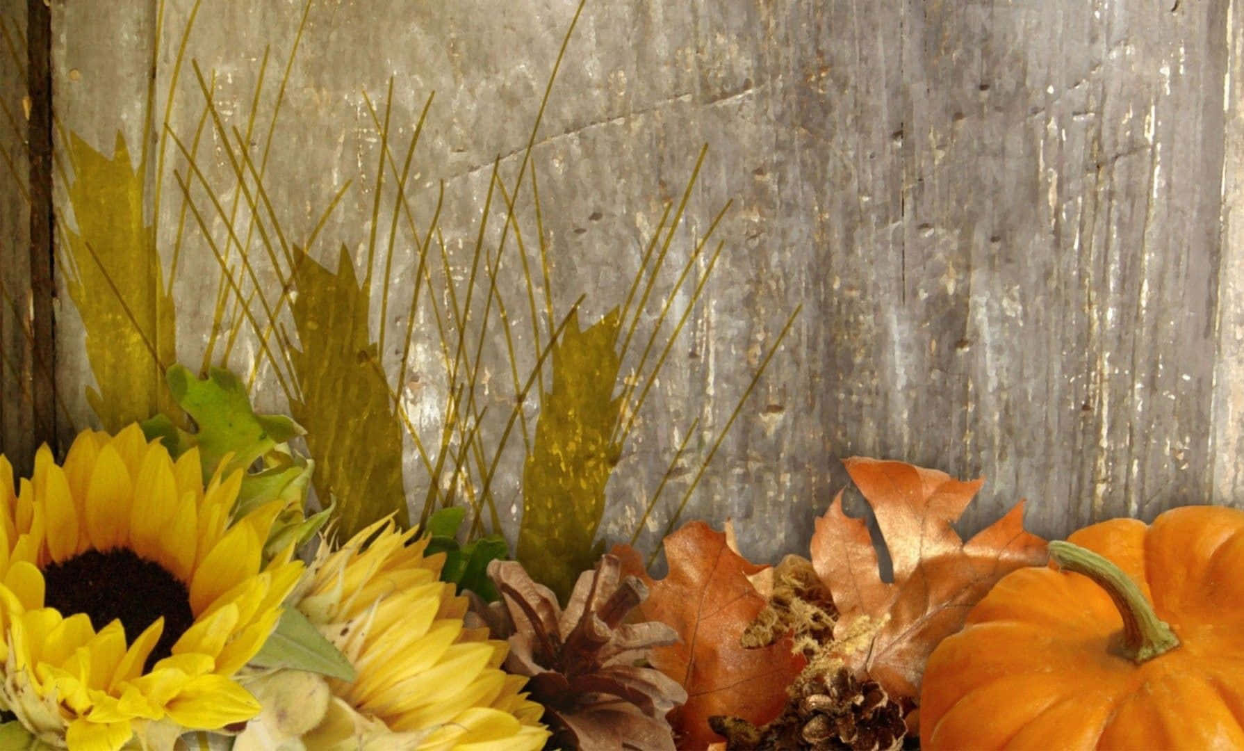 Harvest Time, sunflowers, orange pumpkins, HD Desktop Wallpaper