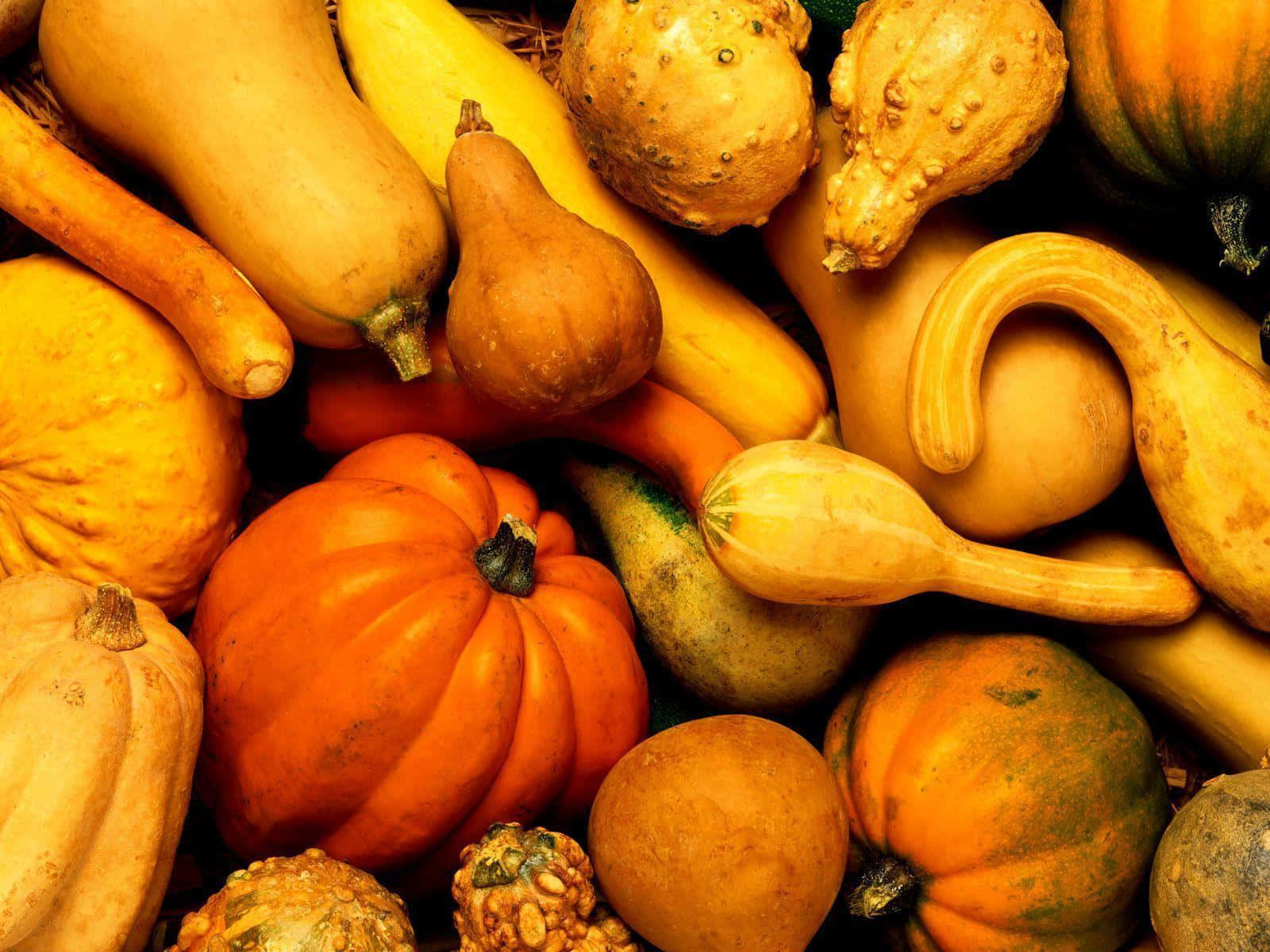 Harvest Time, Sunset, pumpkins, HD Desktop Wallpaper
