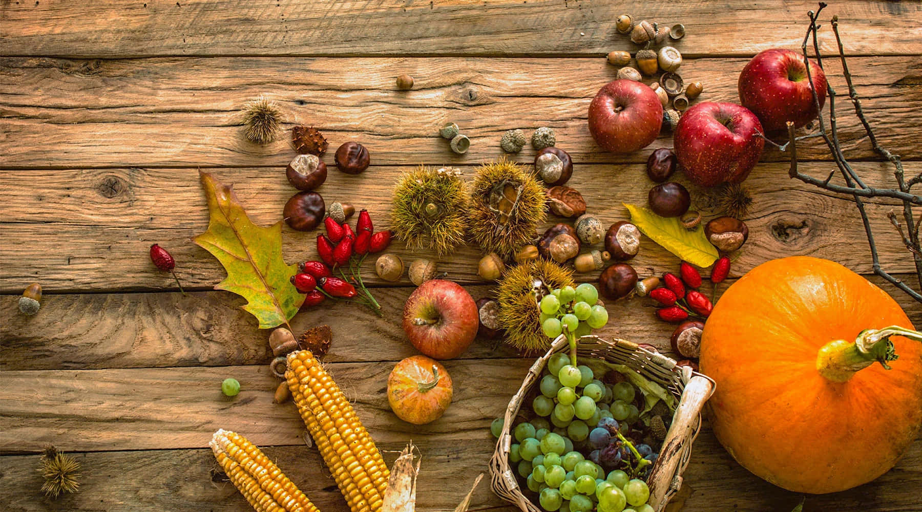 harvest time, pumpkins, apples, HD Desktop Wallpaper