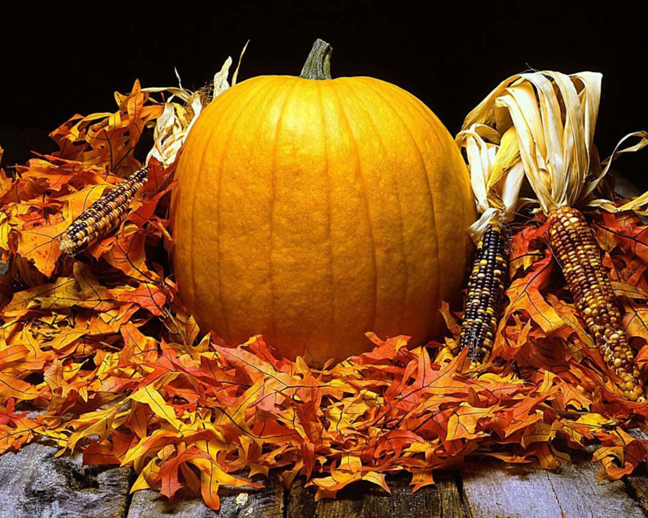 Harvest Time, orange pumpkin, autumn leaves, HD Desktop Wallpaper