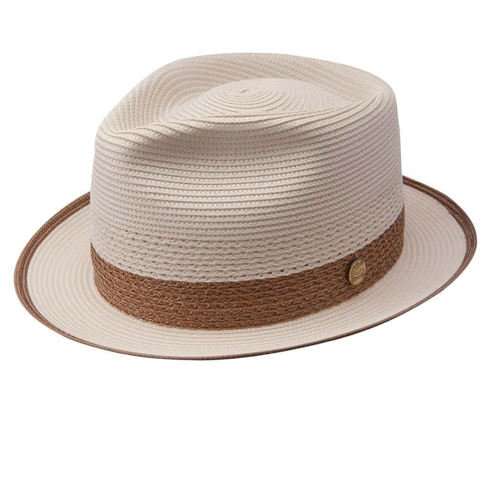 woven fedora, brown braided band, gold button, SD Desktop Wallpaper