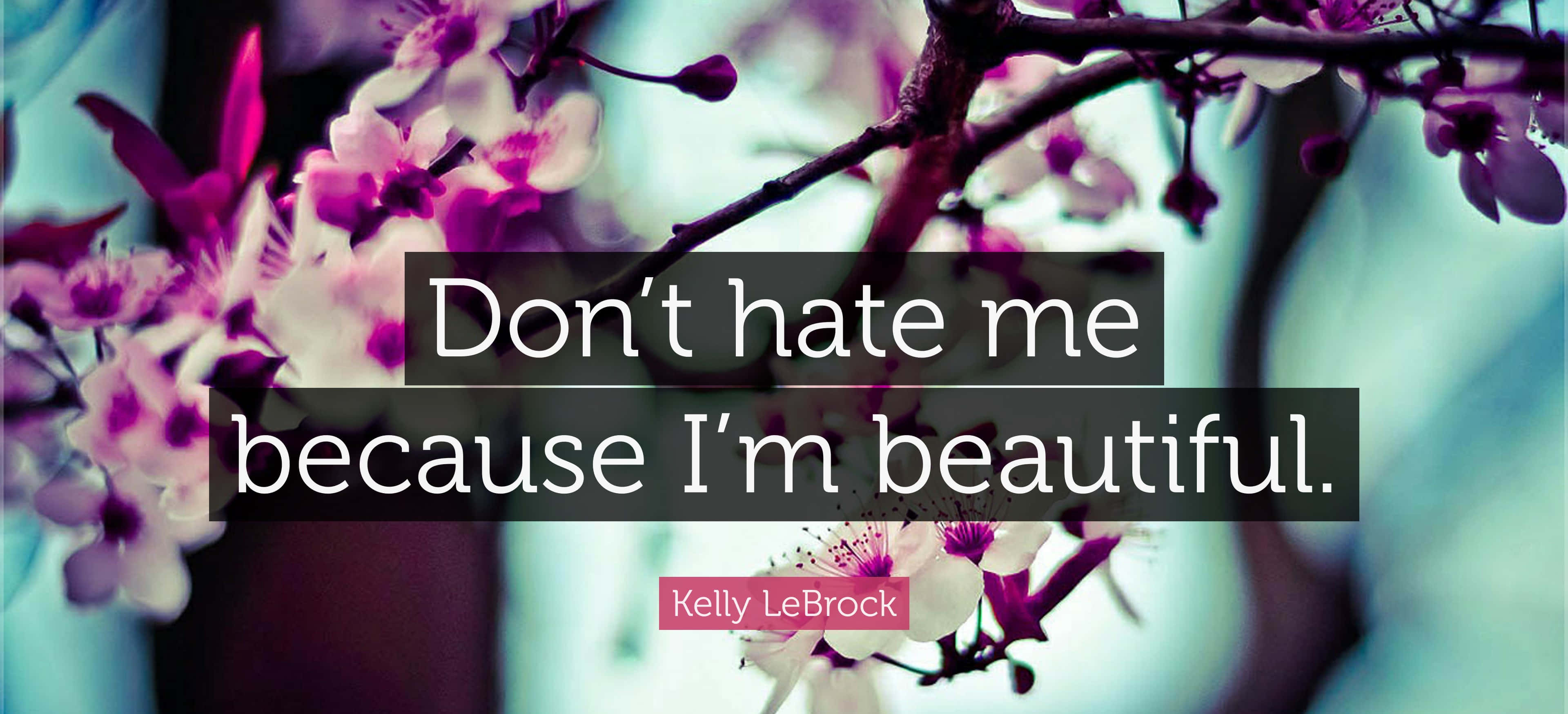 Hate Me, pink and white cherry blossoms, dark branches, 4K Desktop Wallpaper