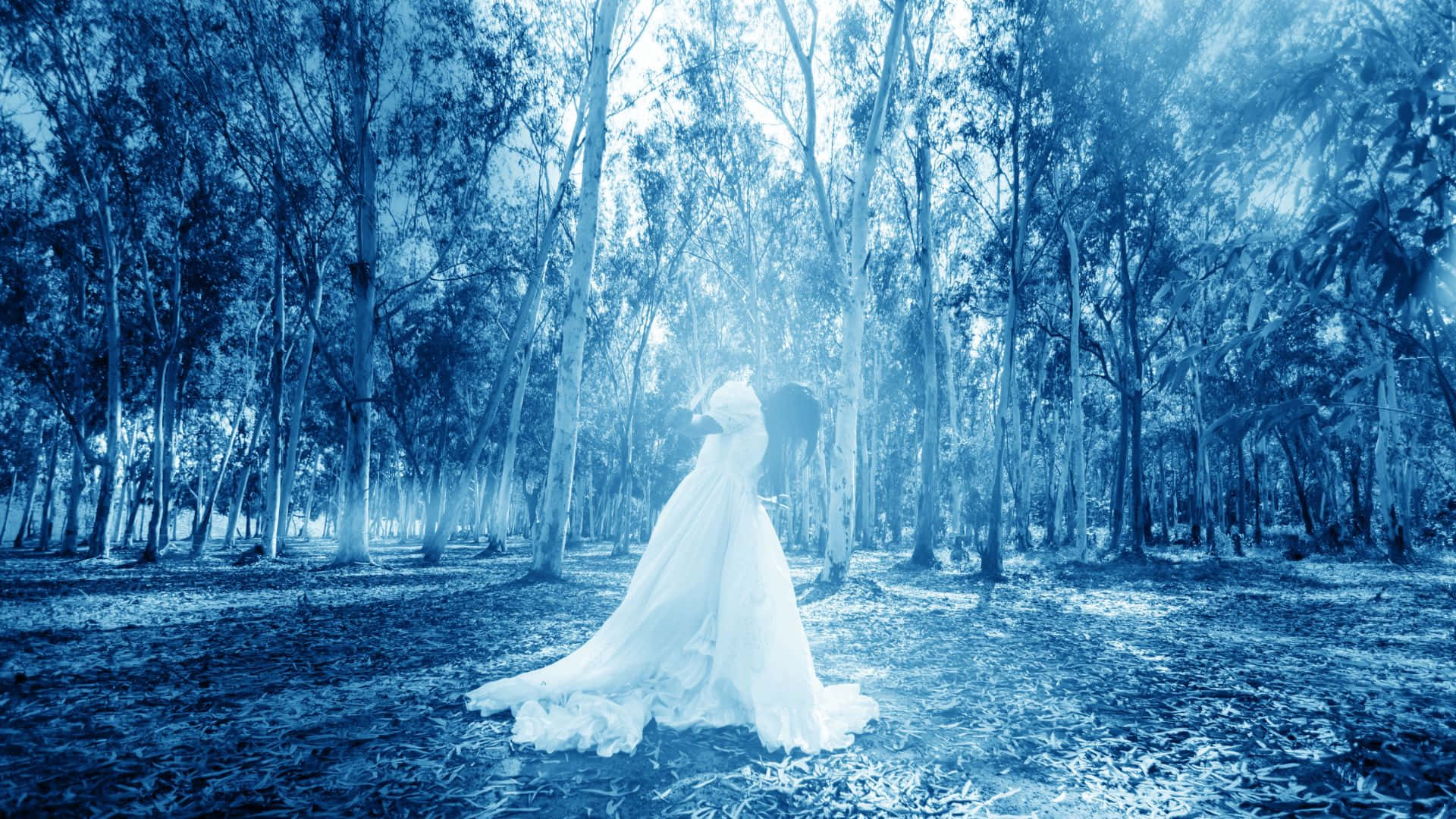 Haunted Forests, white gown, misty blue forest, Full HD Desktop Wallpaper