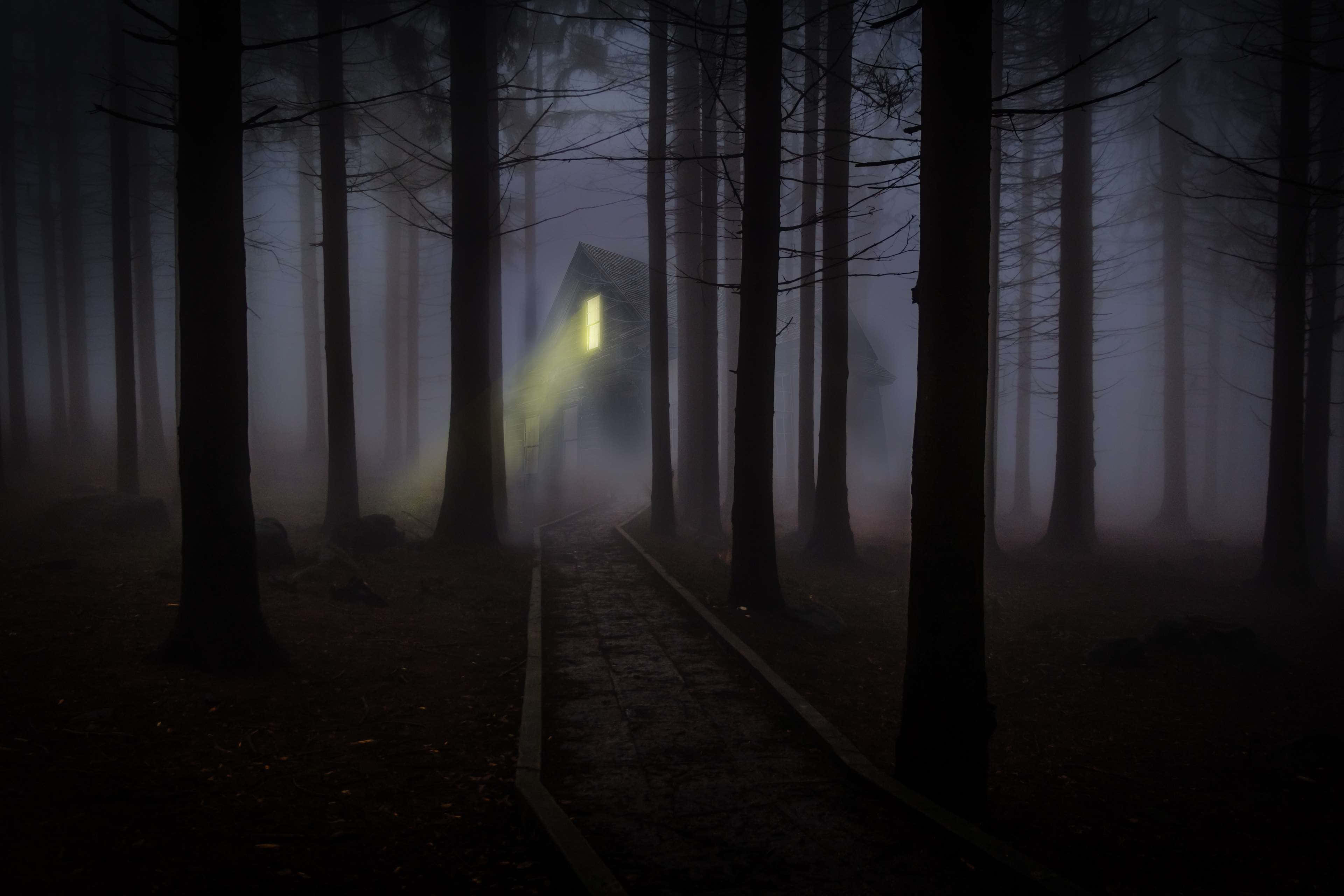 Haunted Forests, cabin, misty trees, 4K Desktop Wallpaper