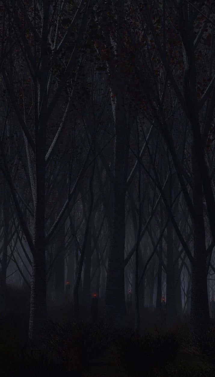 haunted forests, dark misty forest, bare trees, SD Phone Wallpaper