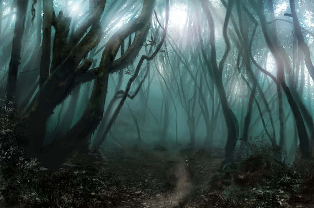 Haunted Forests, misty forest path, twisted ancient trees, SD Desktop Wallpaper