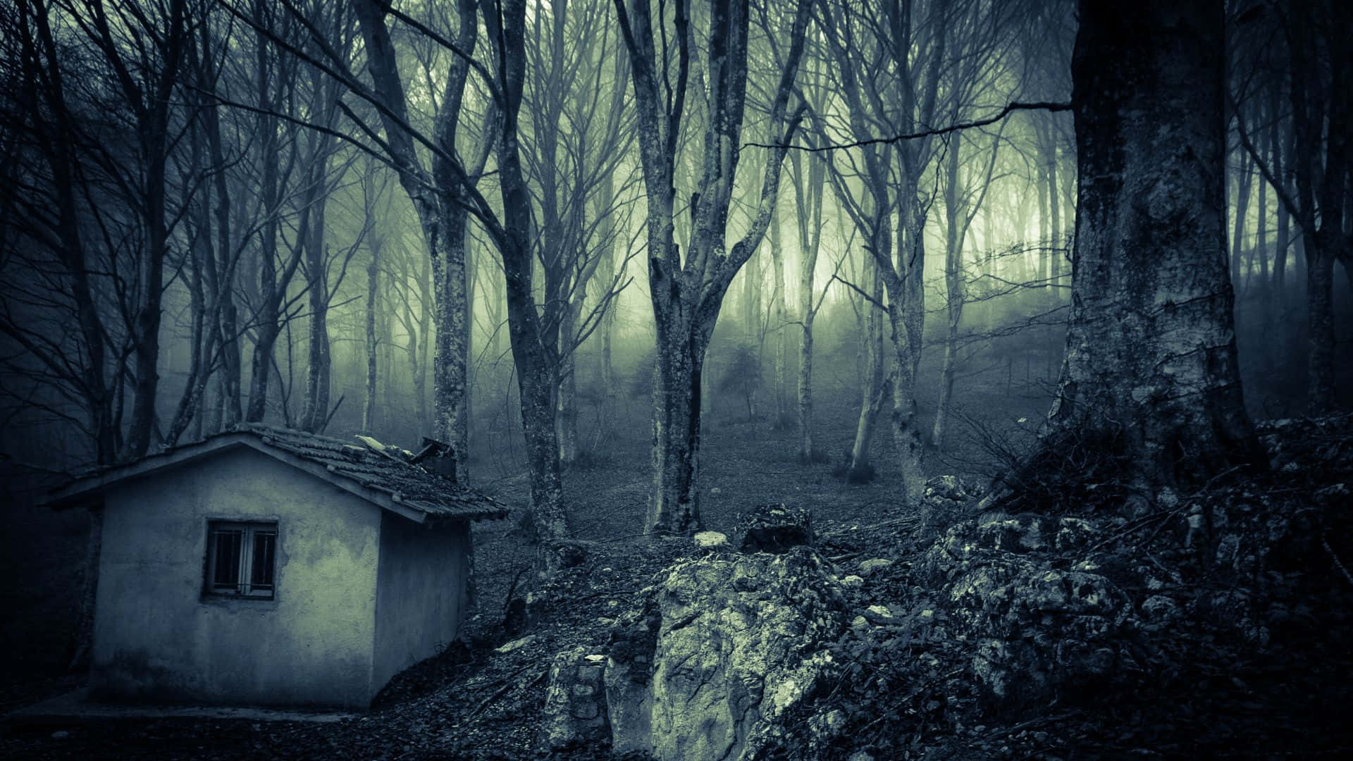 Haunted Forests, weathered cabin, misty forest, Full HD Desktop Wallpaper