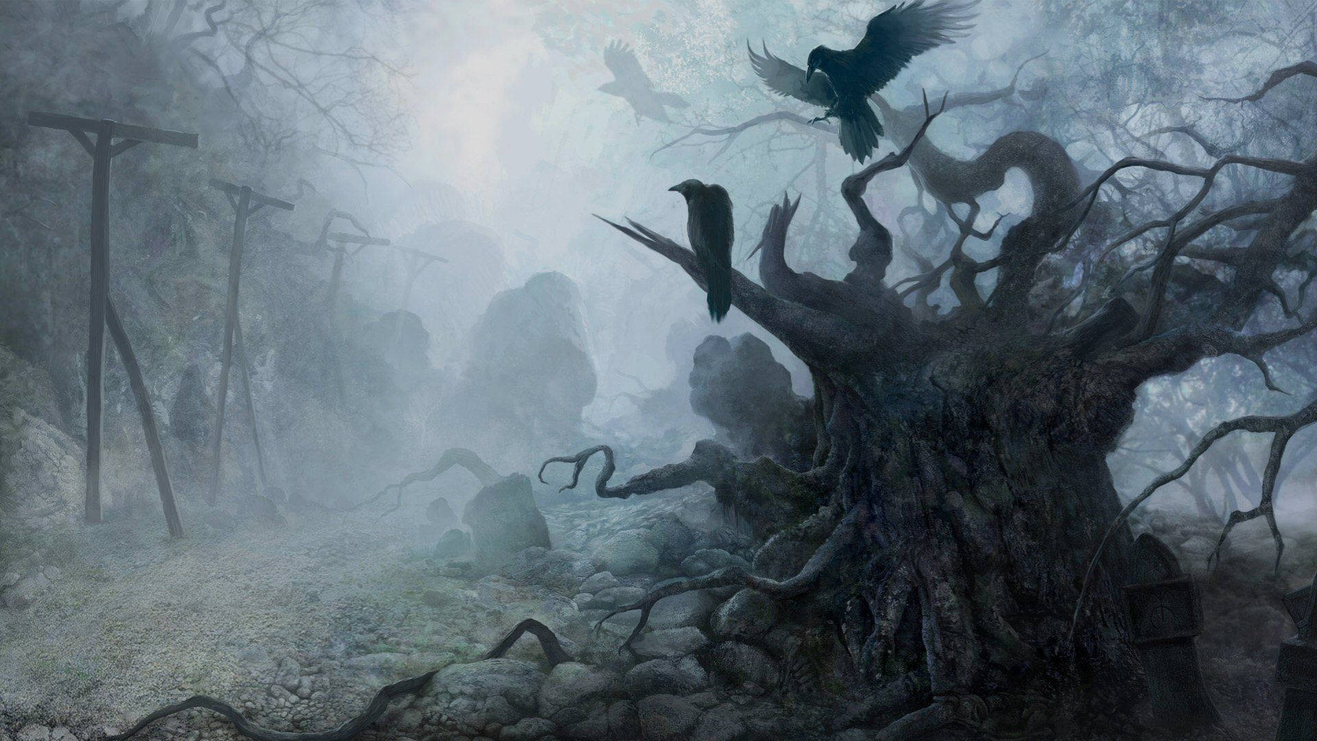 eerie forest, twisted ancient tree, crows, Full HD Desktop Wallpaper
