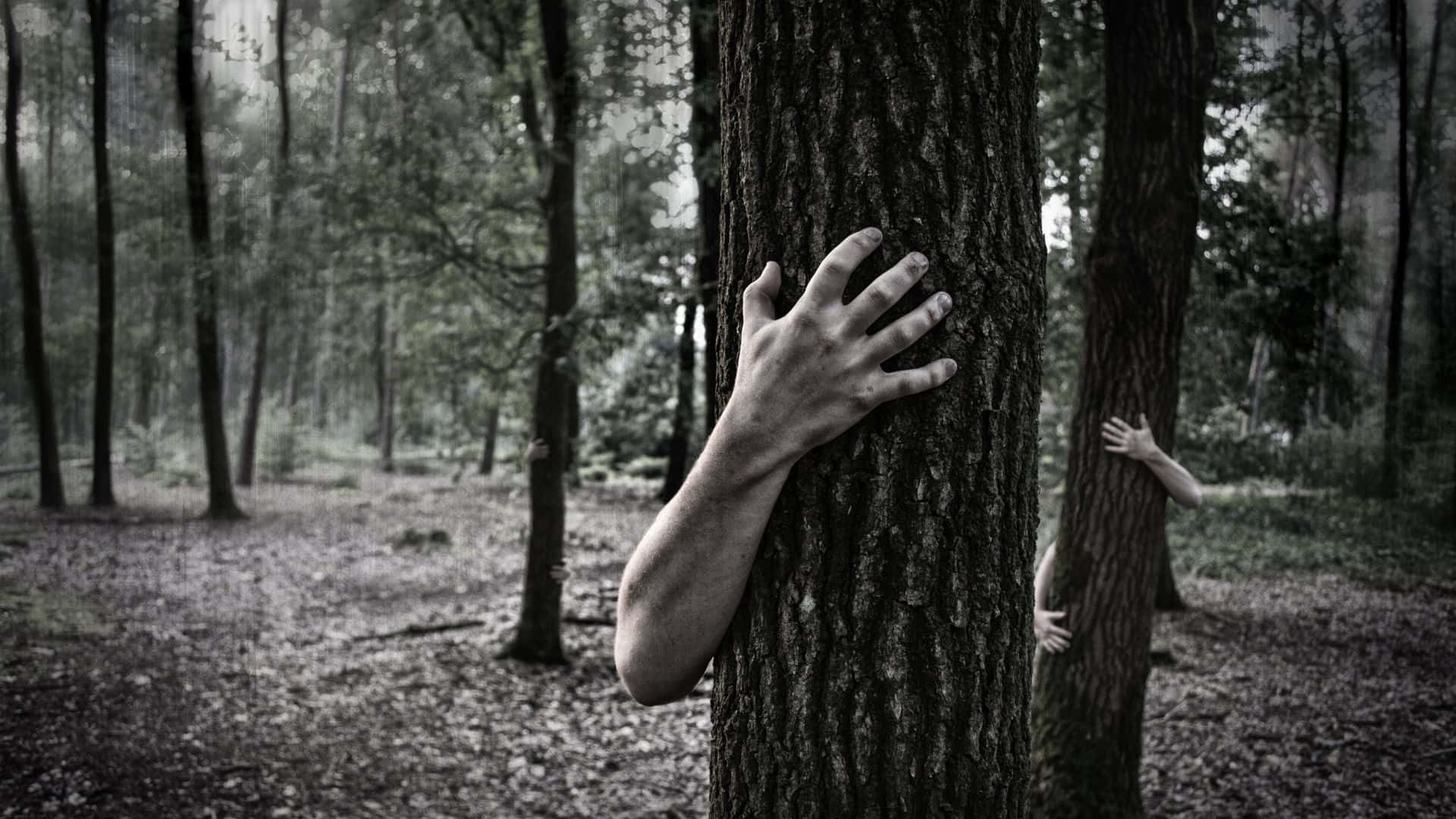 Haunted Forests, pale hands, tree trunks, Full HD Desktop Wallpaper
