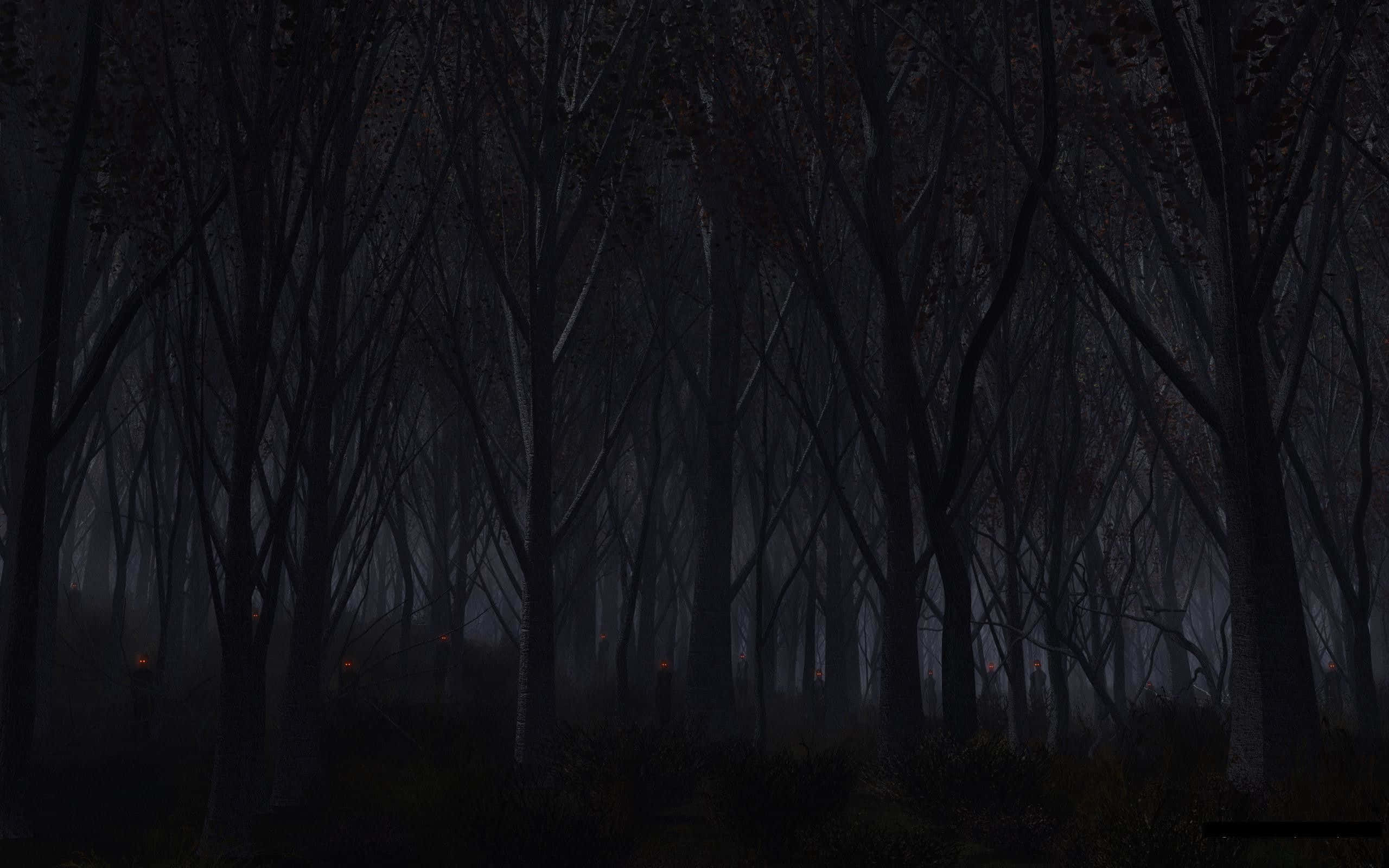 Haunted Forests, dark misty forest, bare trees, 2K Desktop Wallpaper