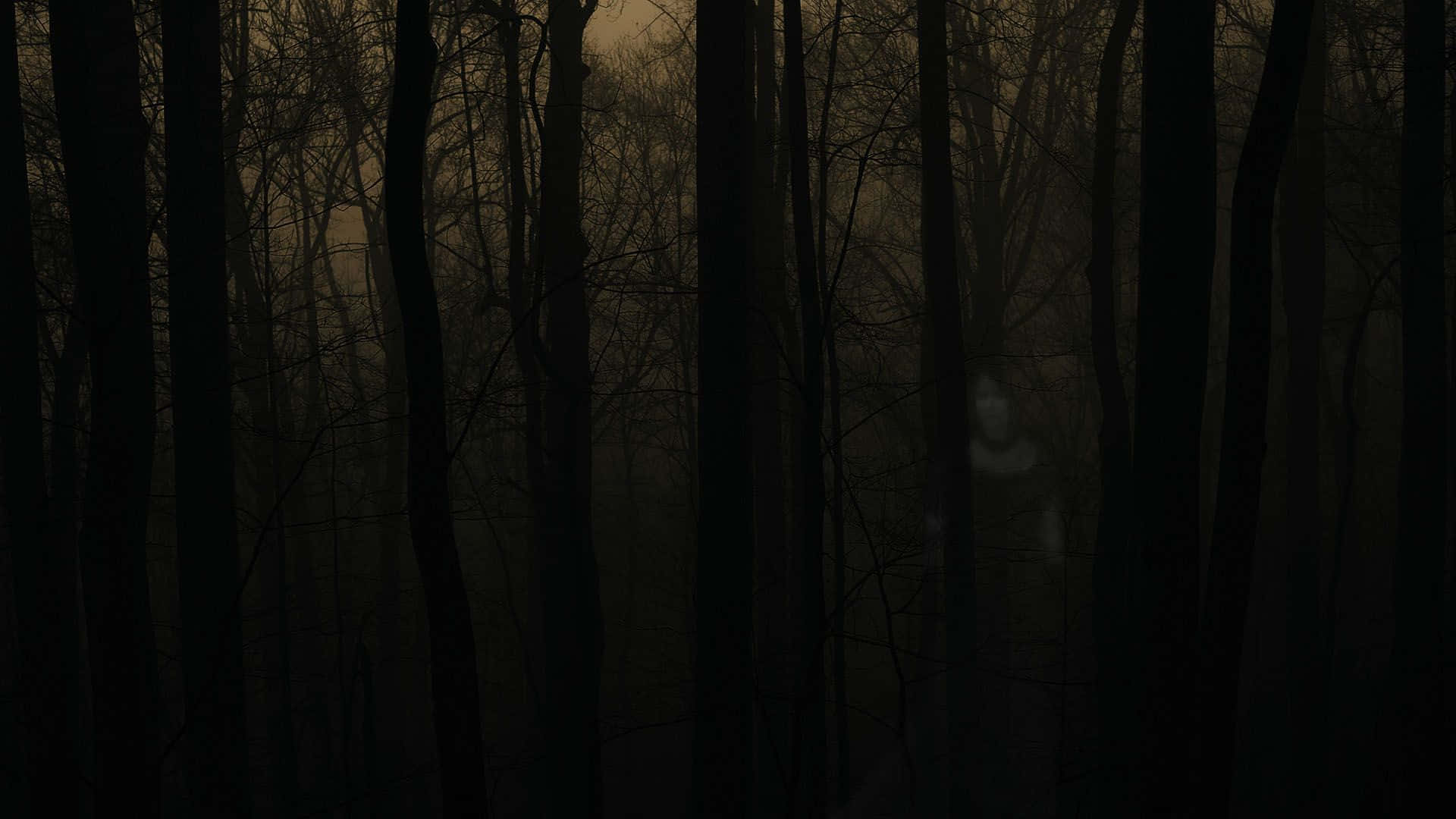 Haunted Forests, twilight, ghostly figure, Full HD Desktop Wallpaper