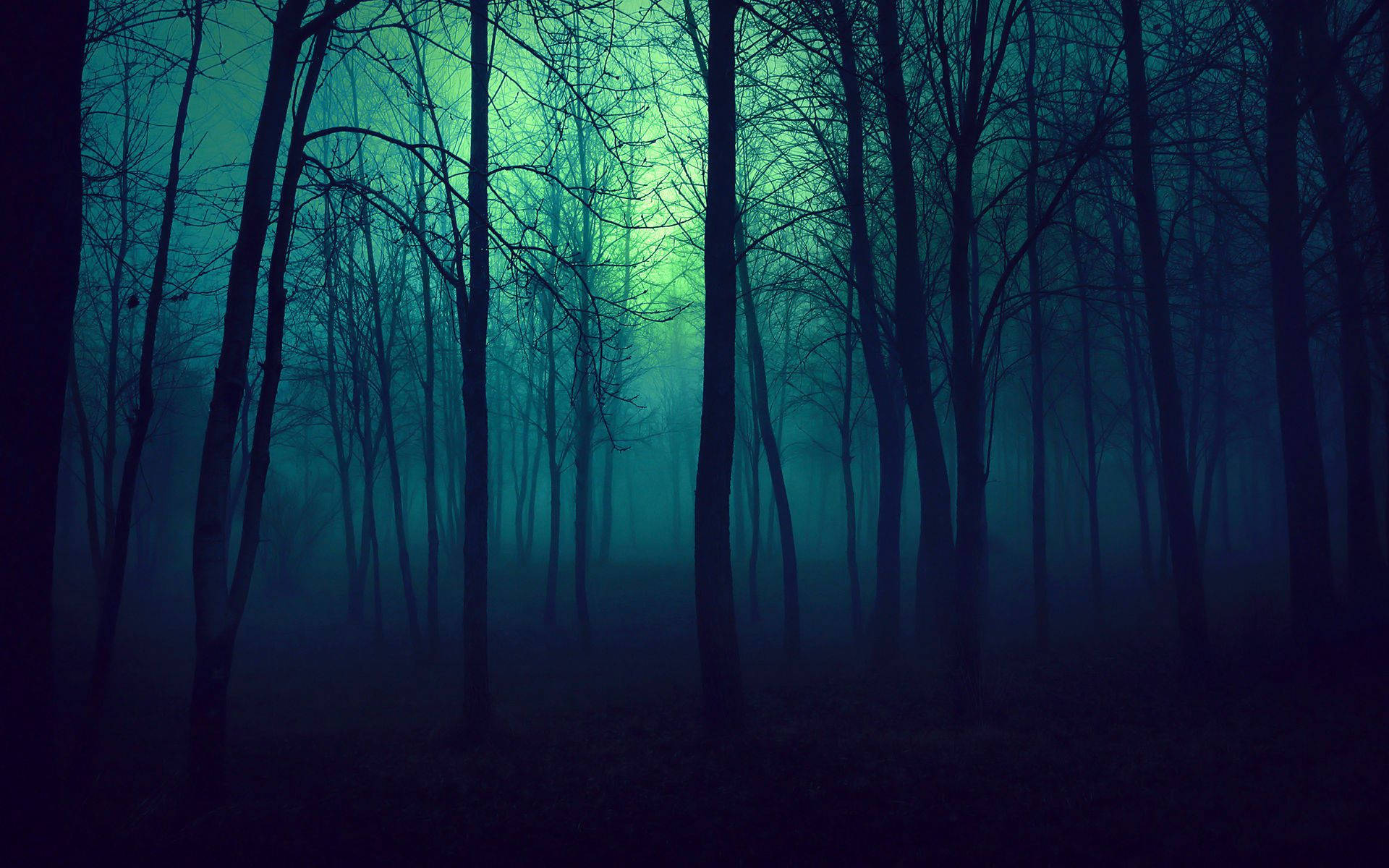 blue tinted ominous forest, misty forest, night, Full HD Desktop Wallpaper