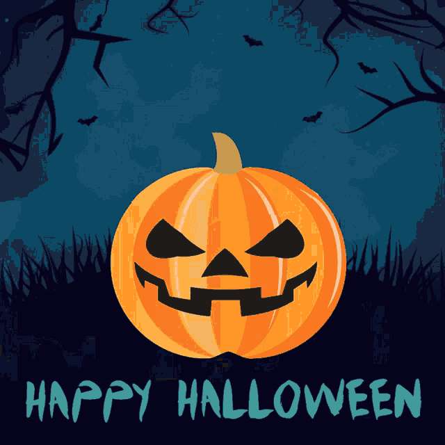jack-o'-lantern, spooky field, night sky, SD Desktop Wallpaper