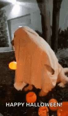 Spooky Halloween Night, glowing orange ghost costume, pumpkins, SD Phone Wallpaper