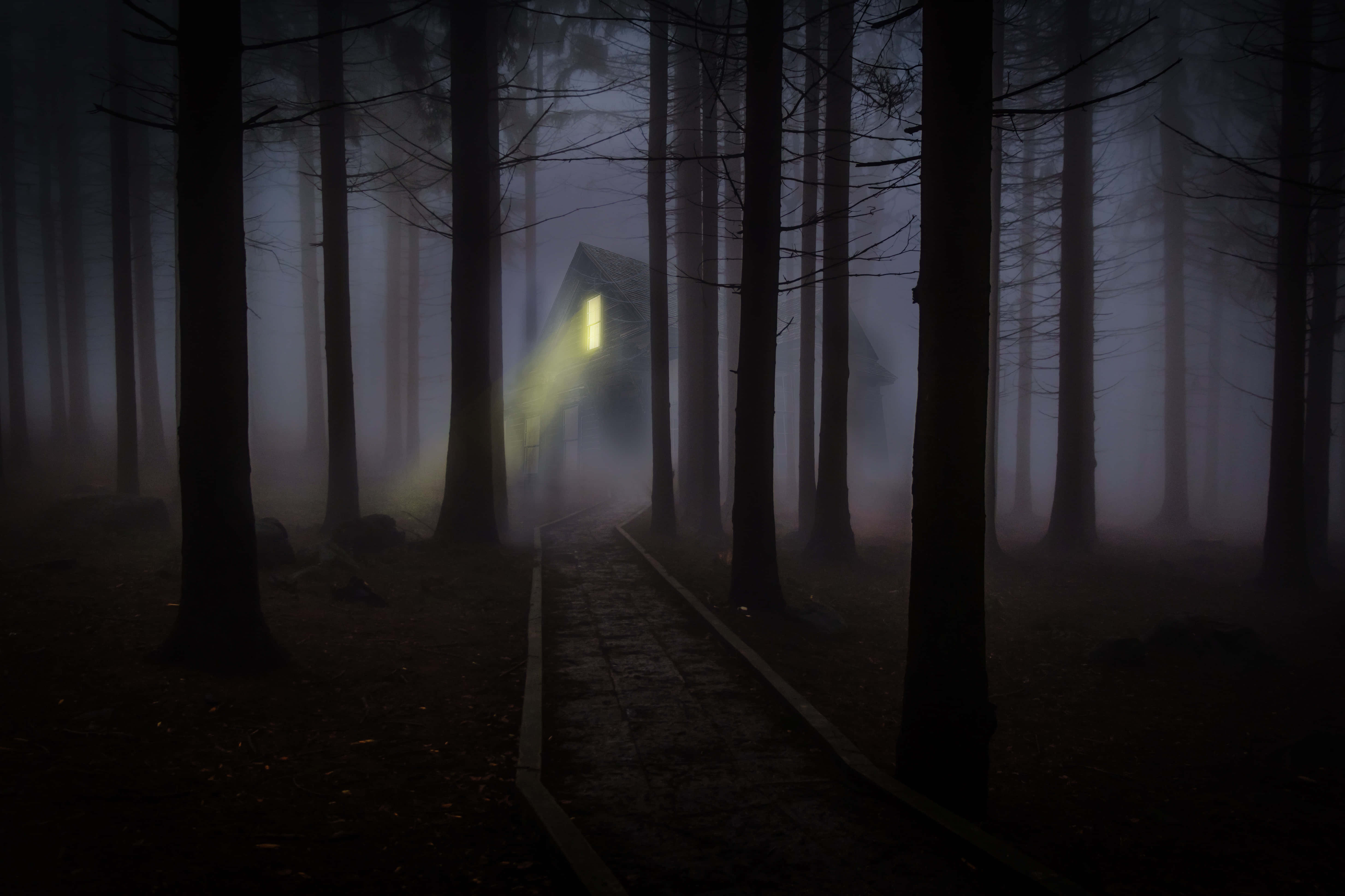 Spooky Forest Desktop, lone cabin, misty trees, 5K Desktop Wallpaper