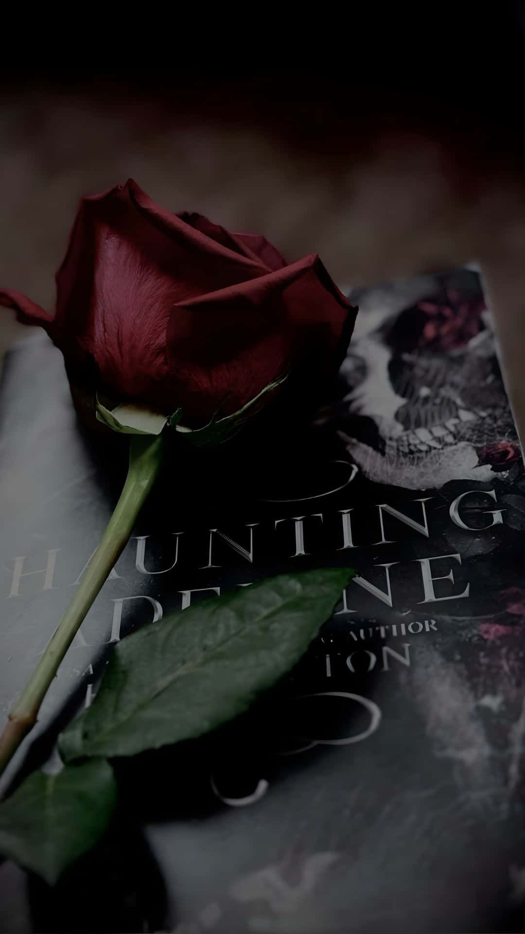 Haunting Adeline, deep red rose, green stem, Full HD Phone Wallpaper