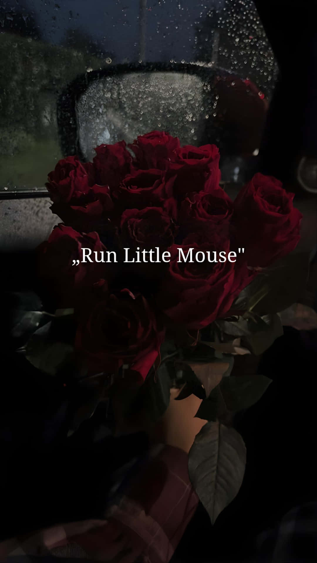 Haunting Adeline, deep red roses, rain-streaked car, Full HD Phone Wallpaper