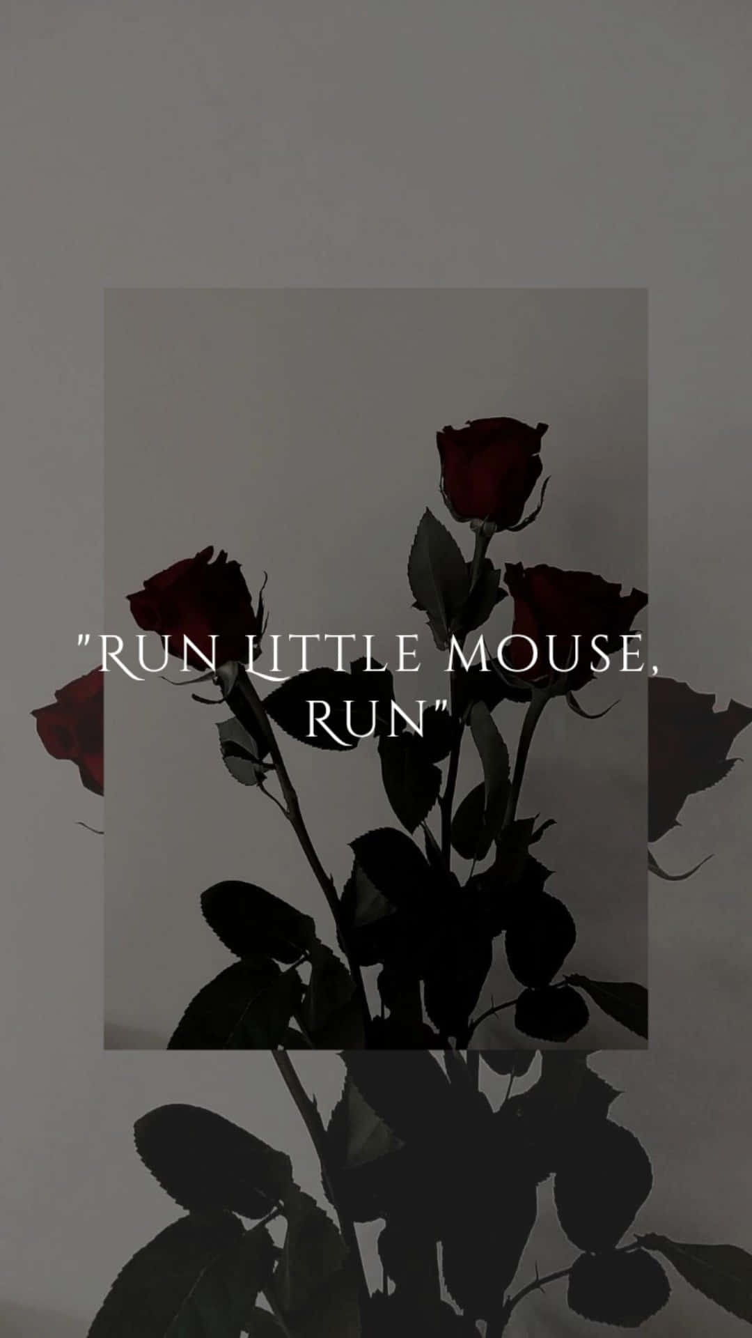 Haunting Adeline, dark red roses, deep green leaves, Full HD Phone Wallpaper
