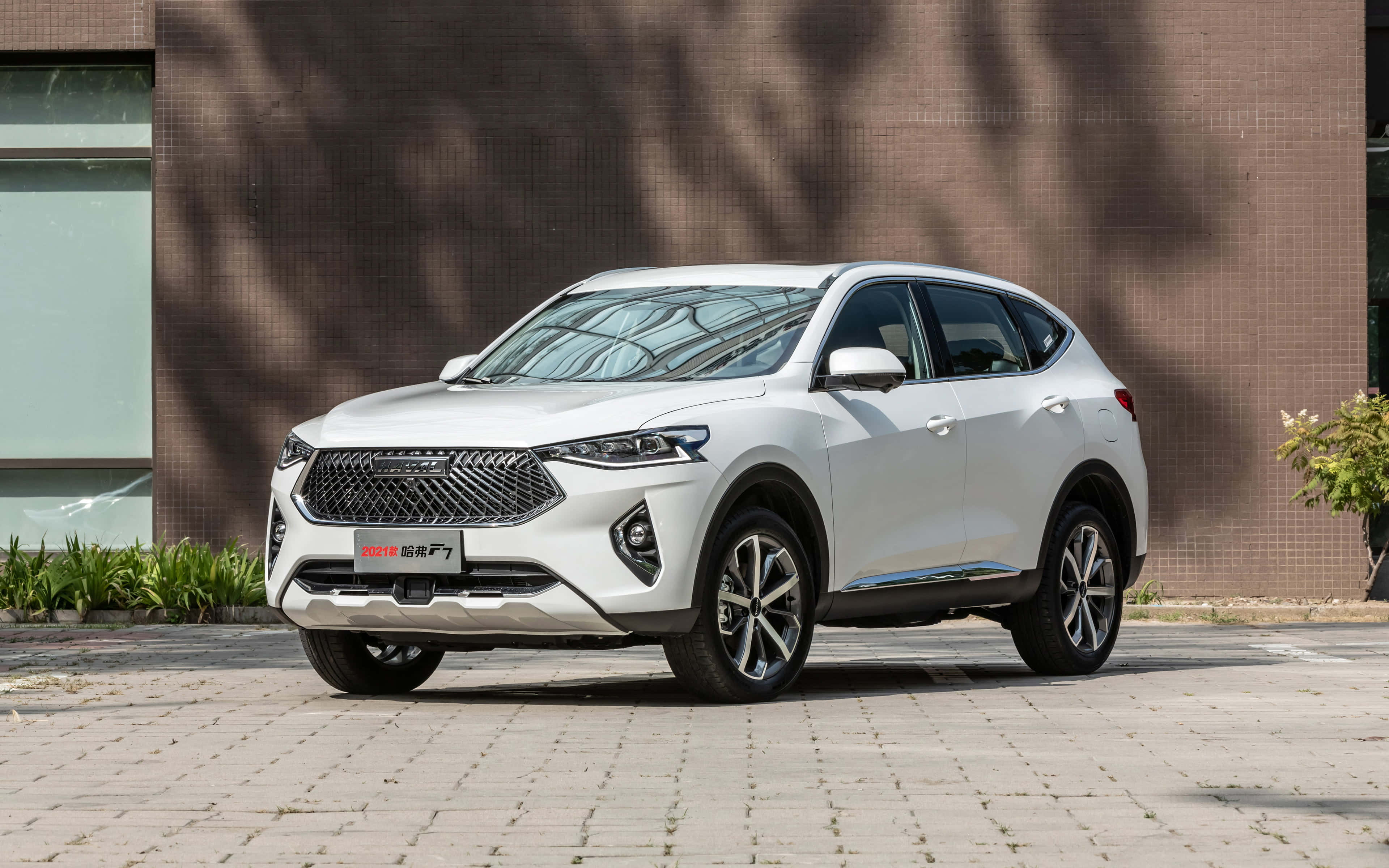 Haval, SUV, white, 4K Desktop Wallpaper