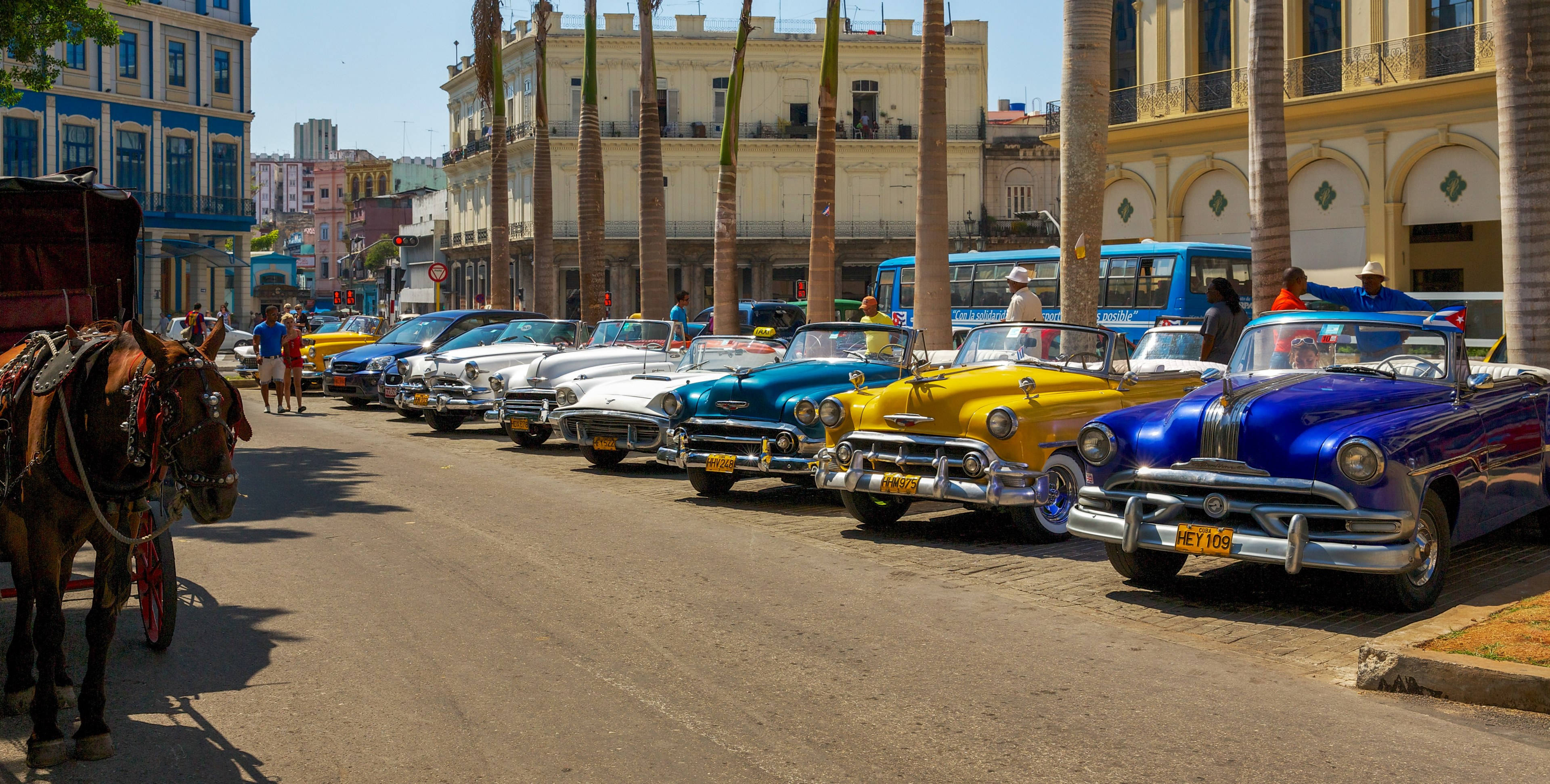 Havana, vintage American cars, sunlit Havana street, 4K Desktop Wallpaper