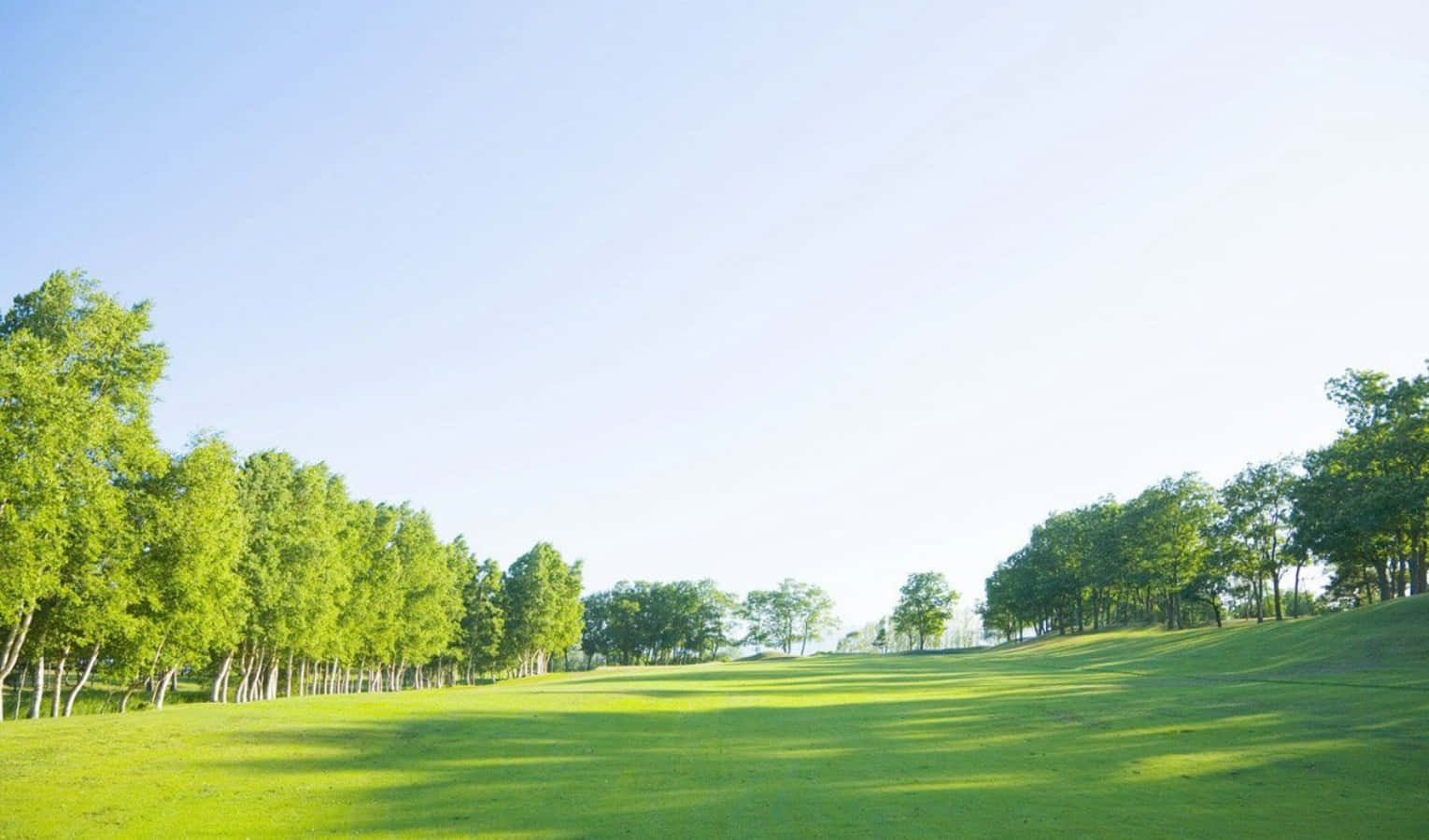 Sunny Day, green field, lush trees, HD Desktop Wallpaper