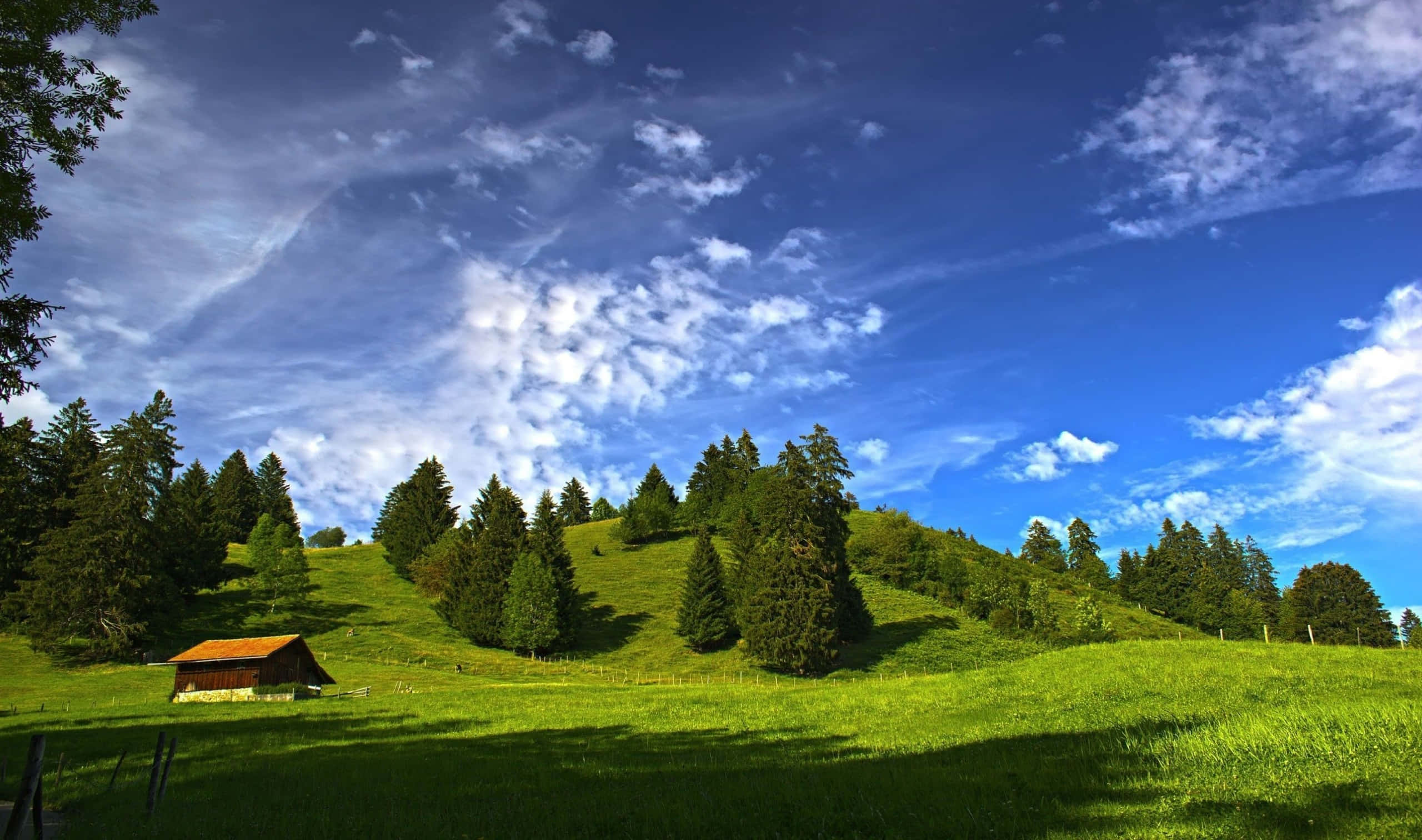 wooden cabin, sunlit green hill, evergreens, 2K Desktop Wallpaper