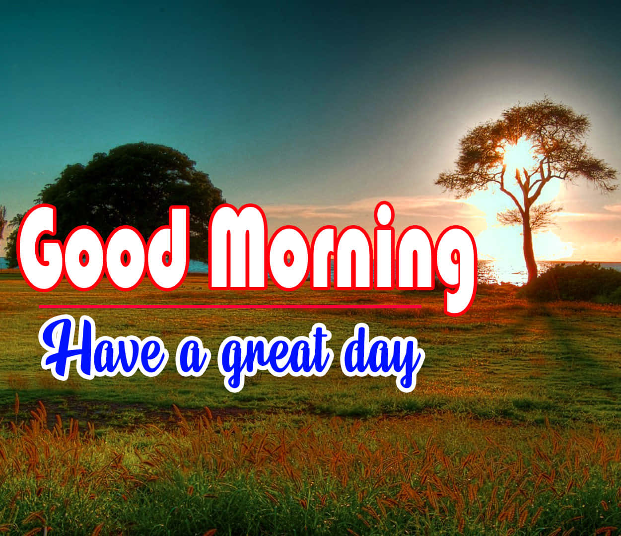 Morning Sunrise Hillside, sunrise, grassy field, SD Desktop Wallpaper