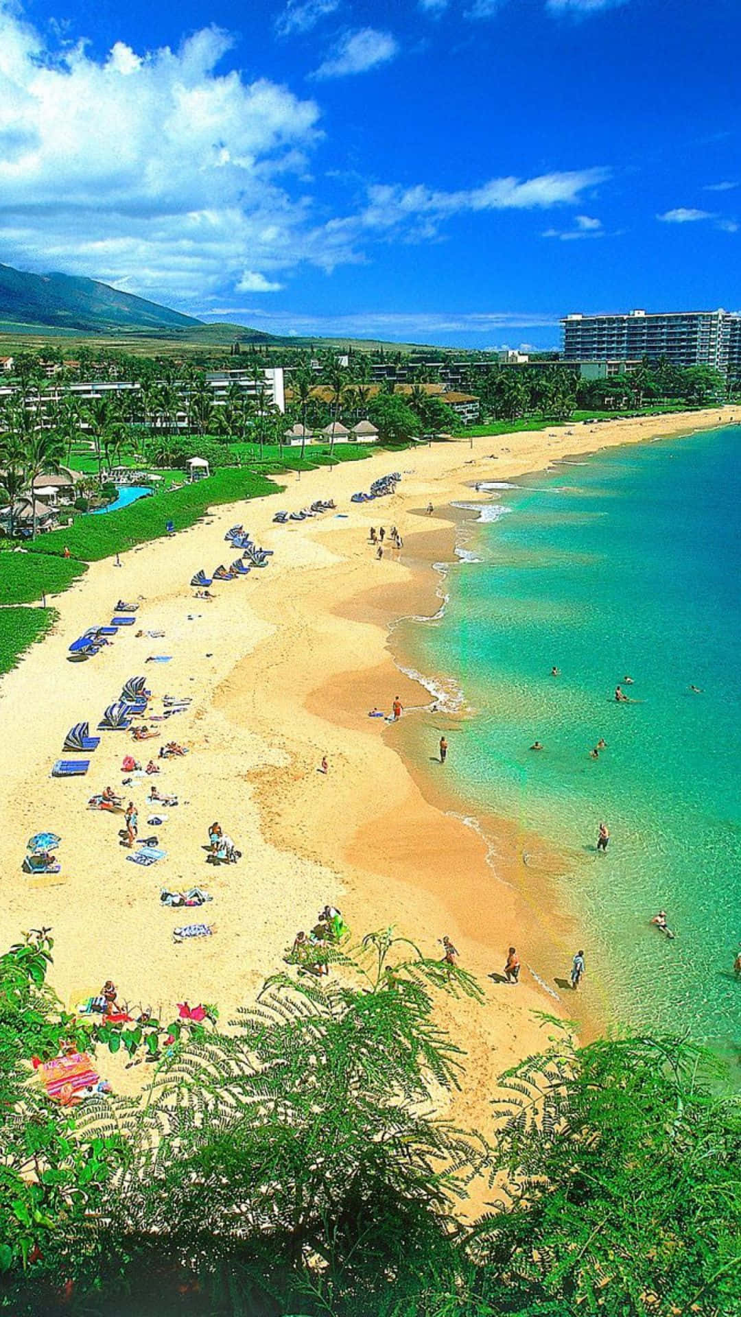 Hawaii, iPhone, turquoise waters, Full HD Phone Wallpaper