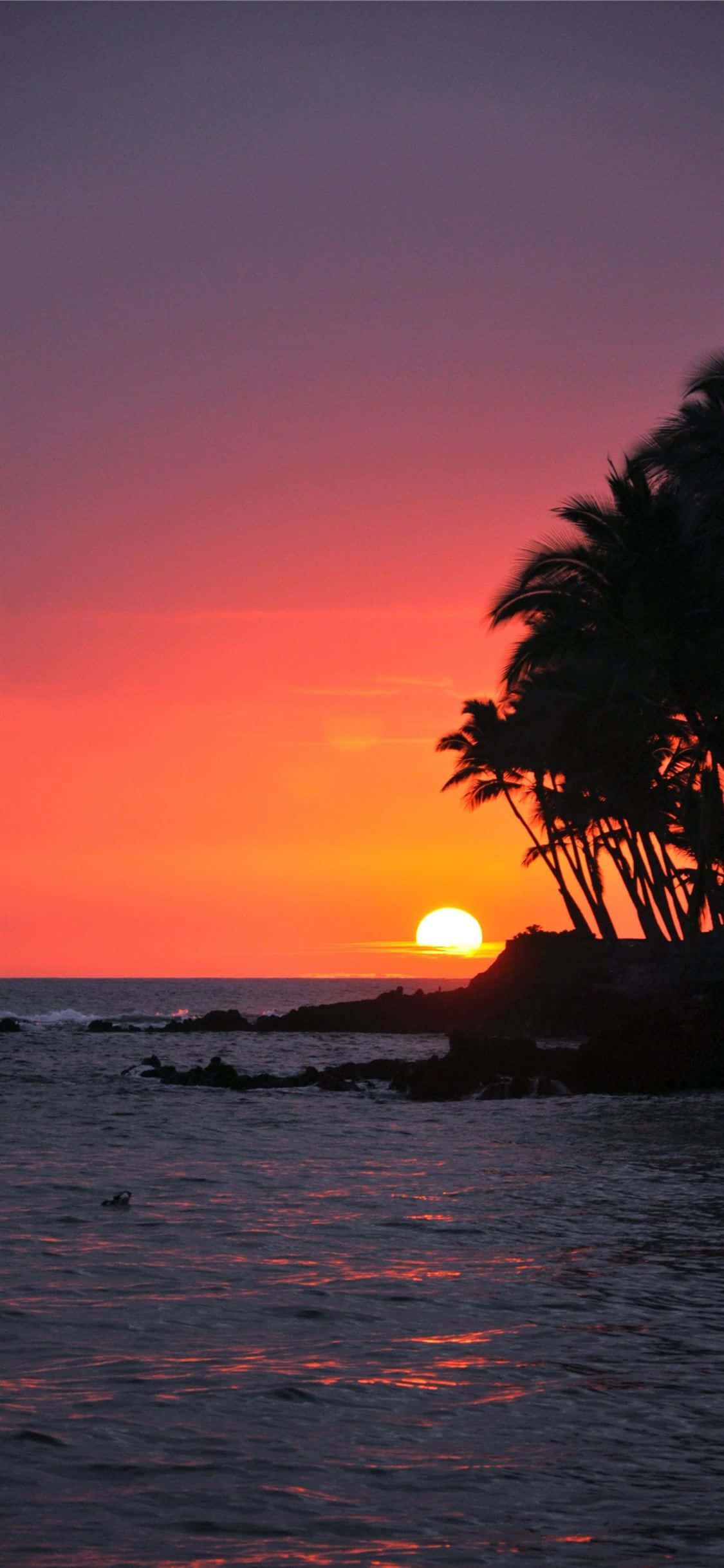 Hawaii, sunset, palm trees, Full HD Phone Wallpaper