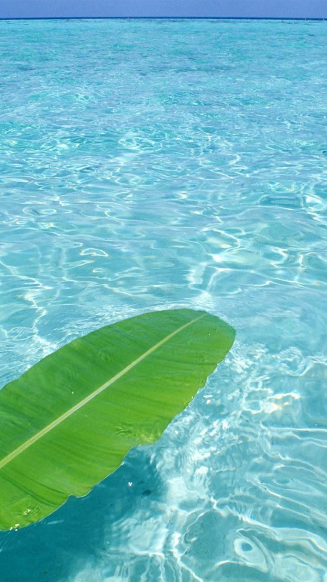 Hawaii, iPhone, vibrant green banana leaf, Full HD Phone Wallpaper