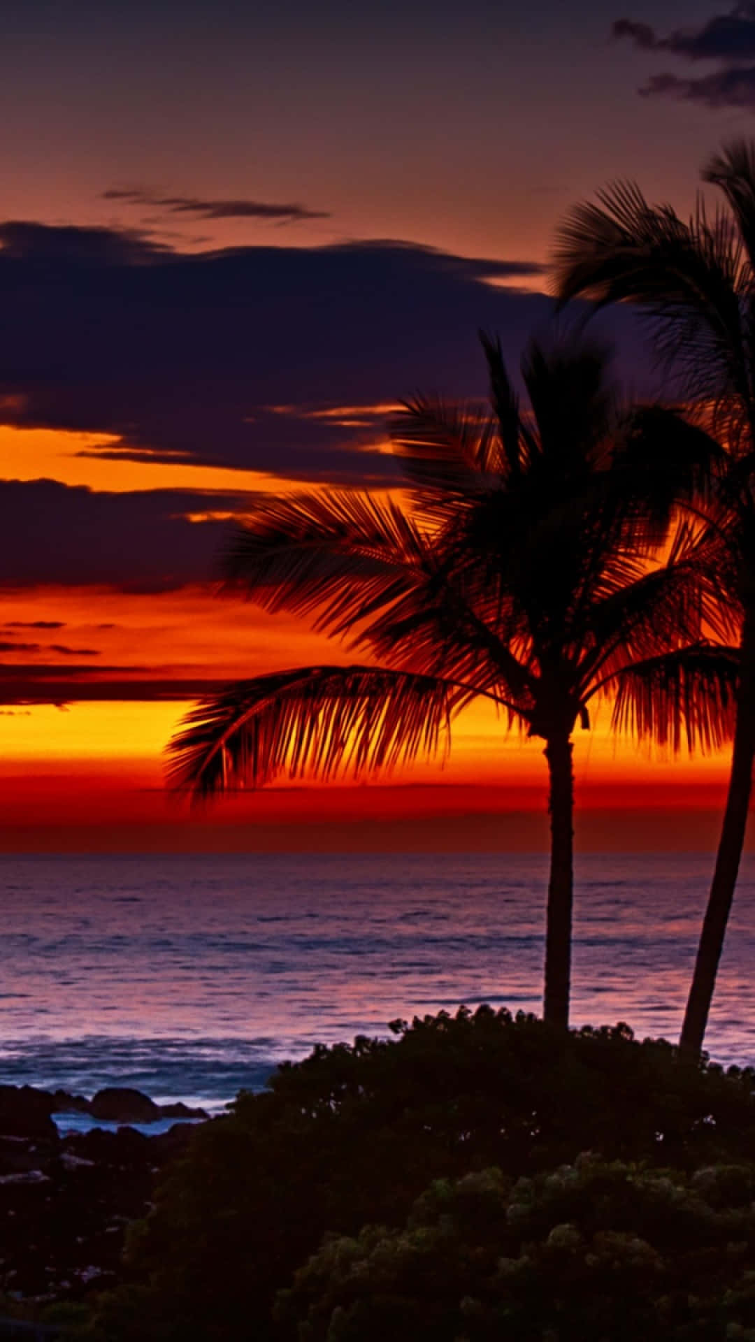 Hawaii iPhone, palm trees, fiery orange and purple sunset, Full HD Phone Wallpaper