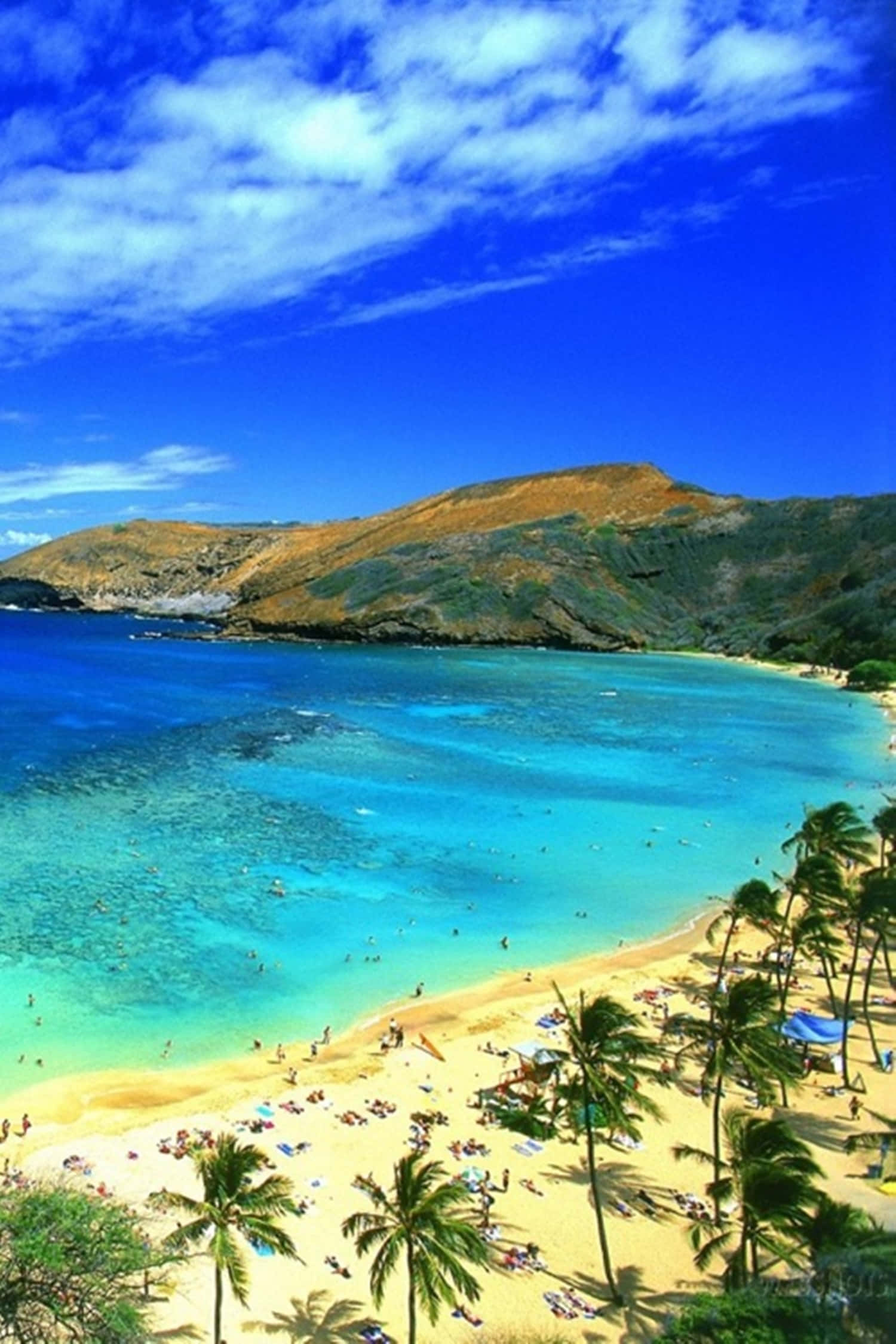Hawaii, tropical beach, turquoise waters, Full HD Phone Wallpaper