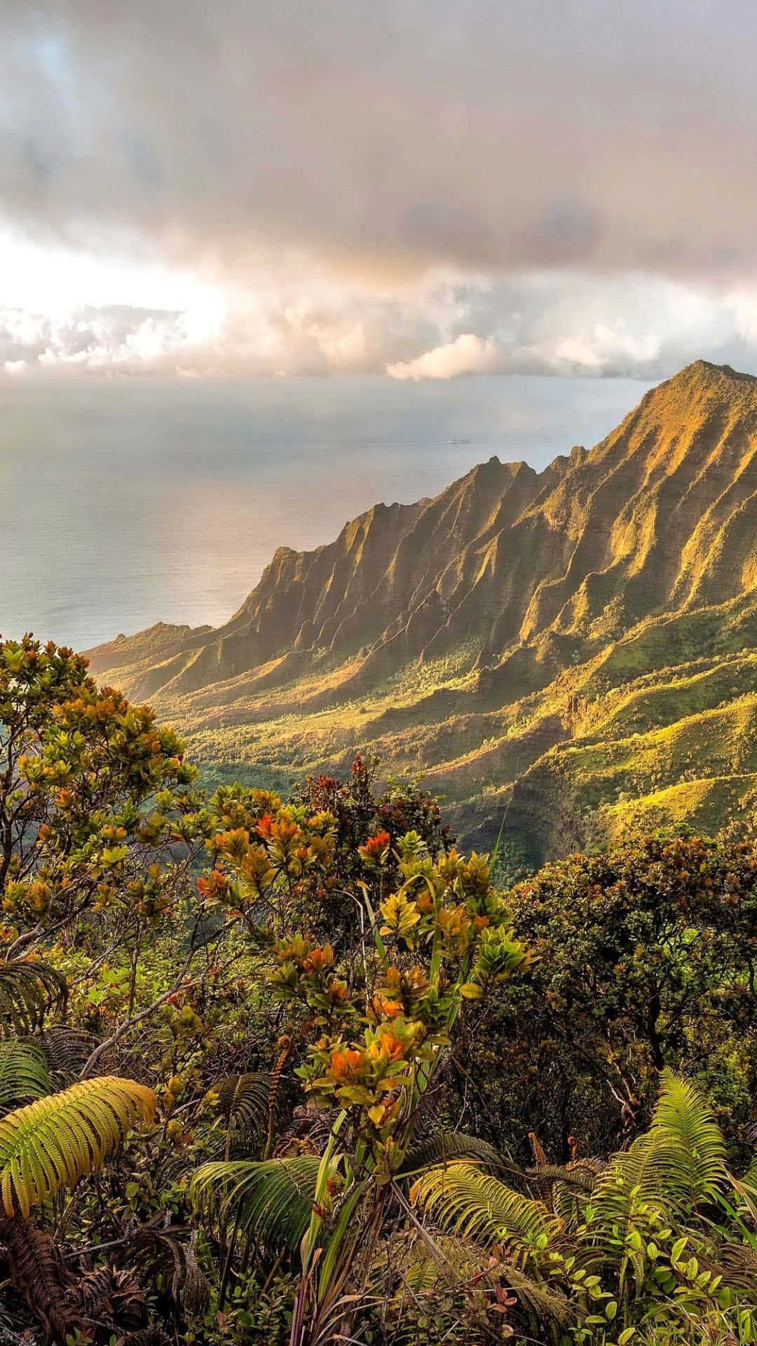 Hawaii, iPhone, green mountains, Full HD Phone Wallpaper