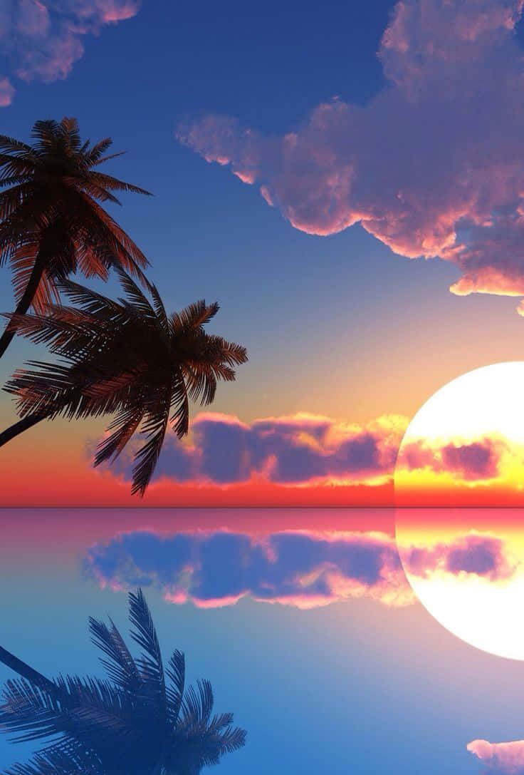 Hawaii, iPhone, palm trees, SD Phone Wallpaper
