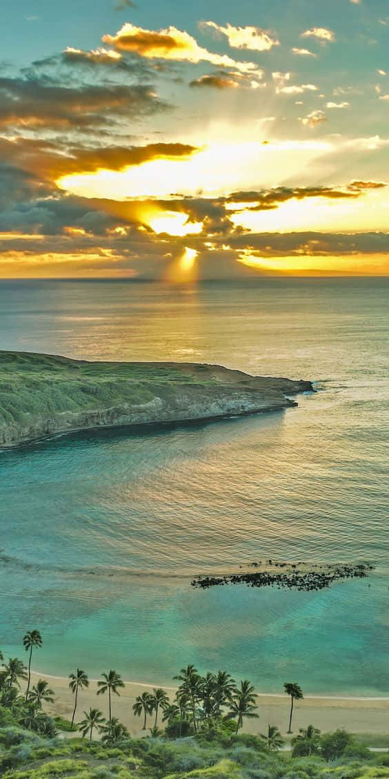 Hawaii, iPhone, golden sun rays, SD Phone Wallpaper
