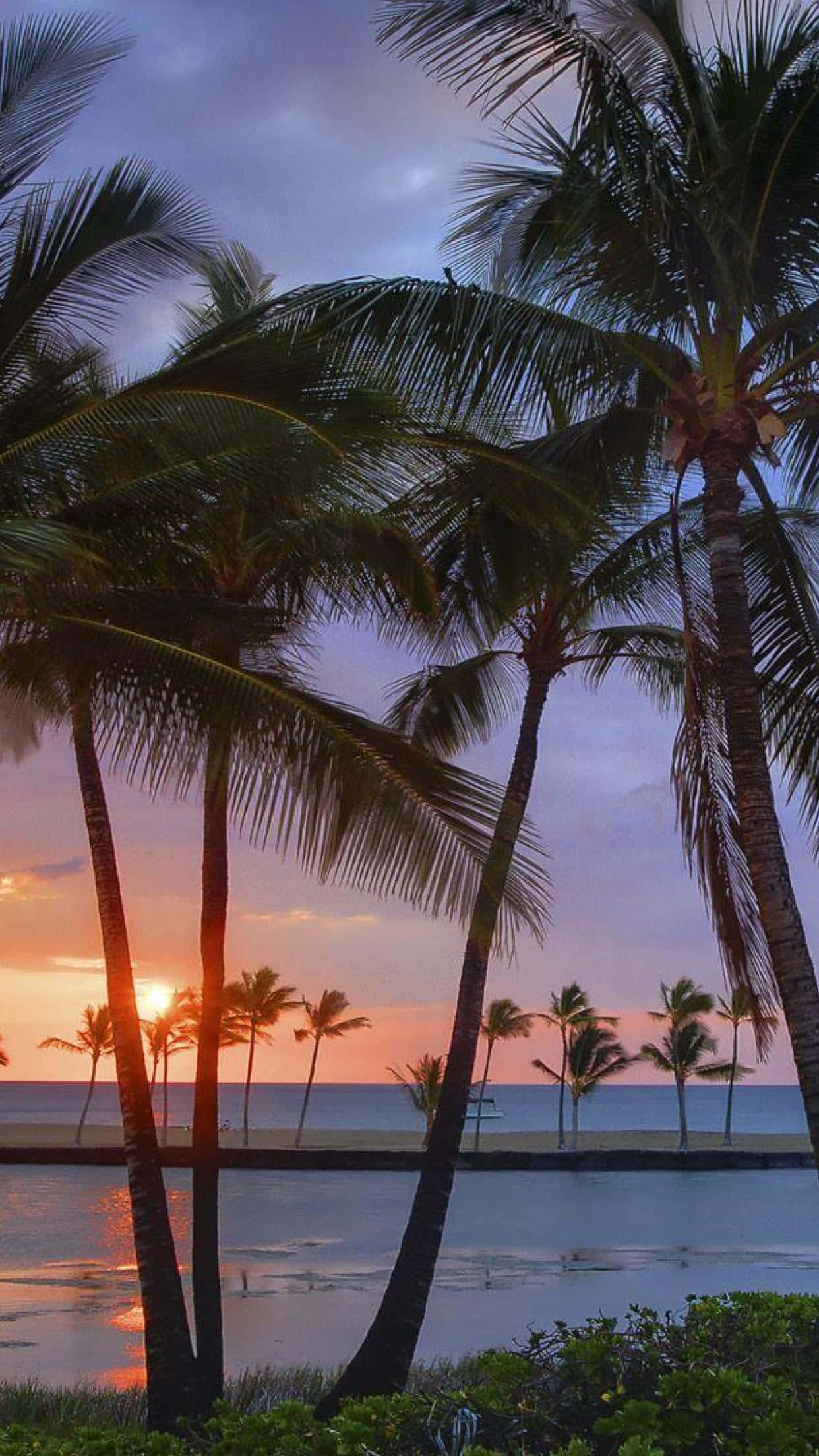 Hawaii iPhone, vibrant sunset sky, tranquil ocean horizon, Full HD Phone Wallpaper