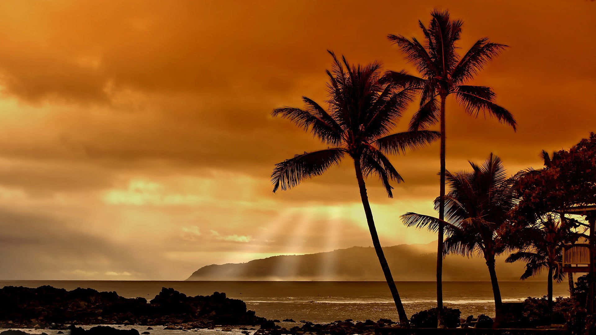 Hawaii Sunset, palm trees, orange sky, Full HD Desktop Wallpaper