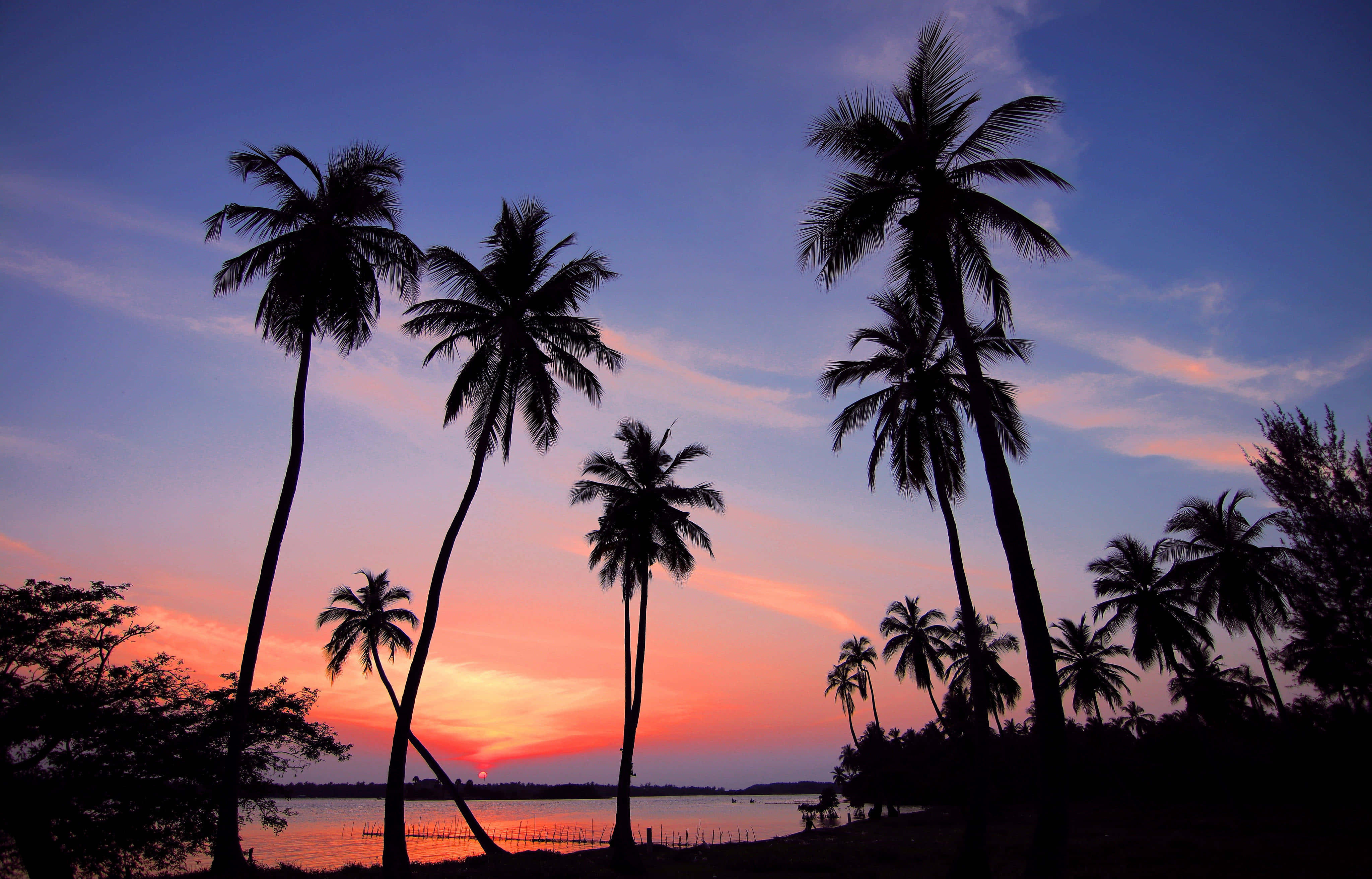 Hawaii Sunset, palm trees, vibrant sunset sky, 4K Desktop Wallpaper