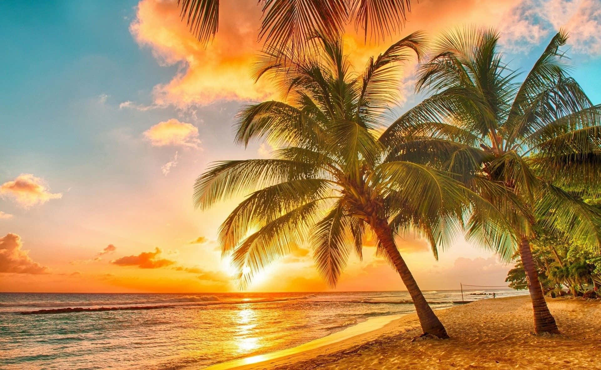Hawaii Sunset, palm trees, tropical beach, Full HD Desktop Wallpaper
