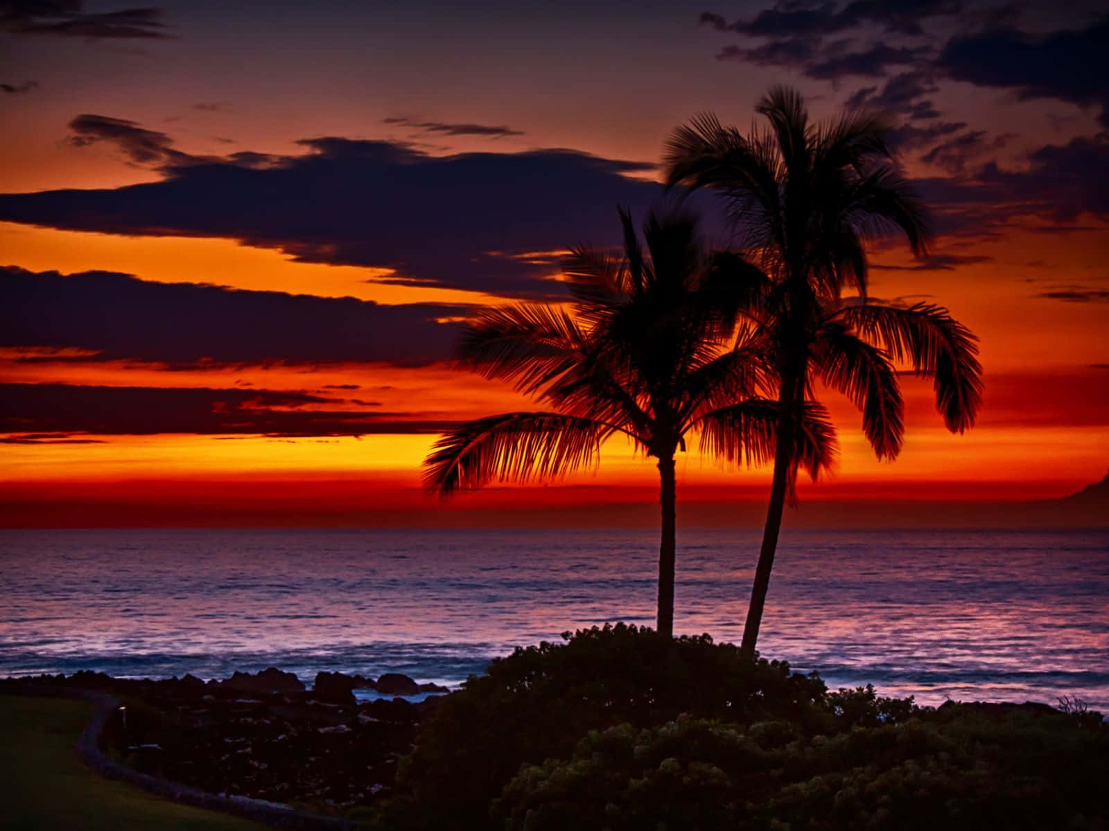 Hawaii Sunset, palm trees, fiery orange, HD Desktop Wallpaper